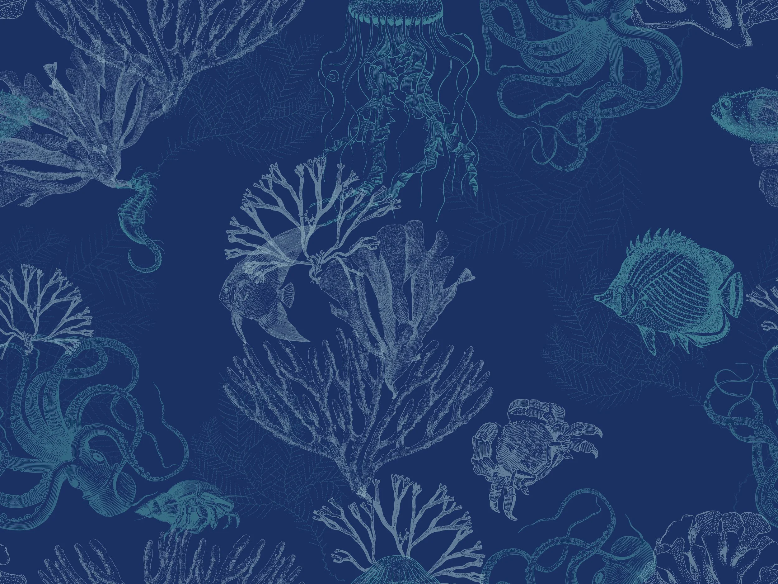 Under The Sea_Dark 200x150 Hires 200 dpi.jpg