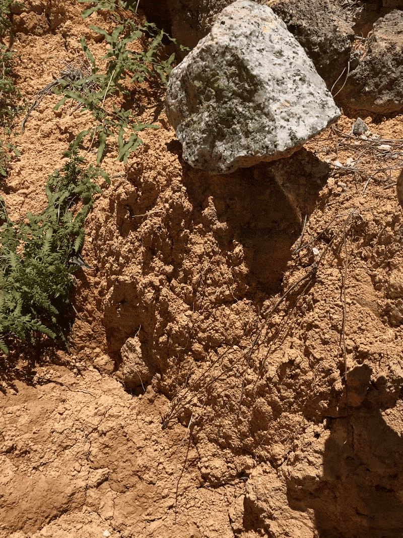 process_collectingsoil.gif