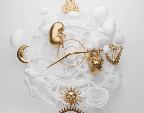 ESR / The Cycle of Life