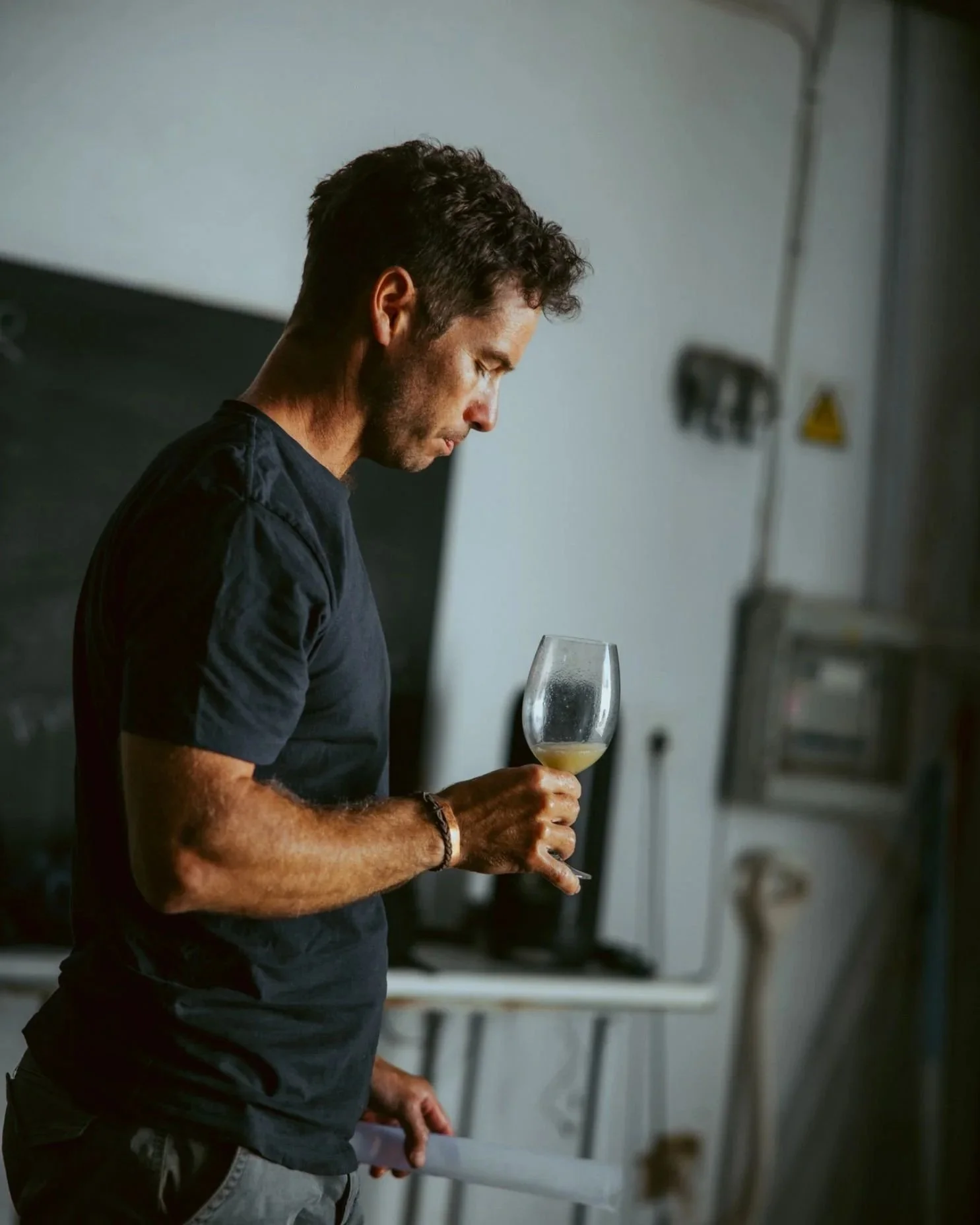 Wine masterclass with Intellego