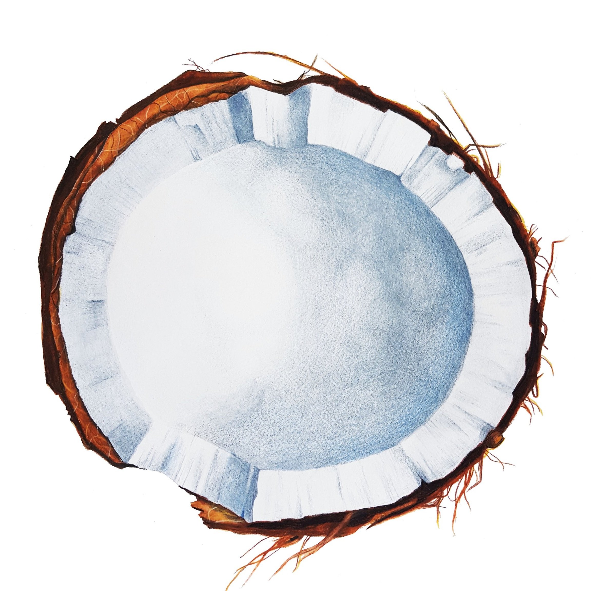 Illustratie  |  Abbot Kinney's