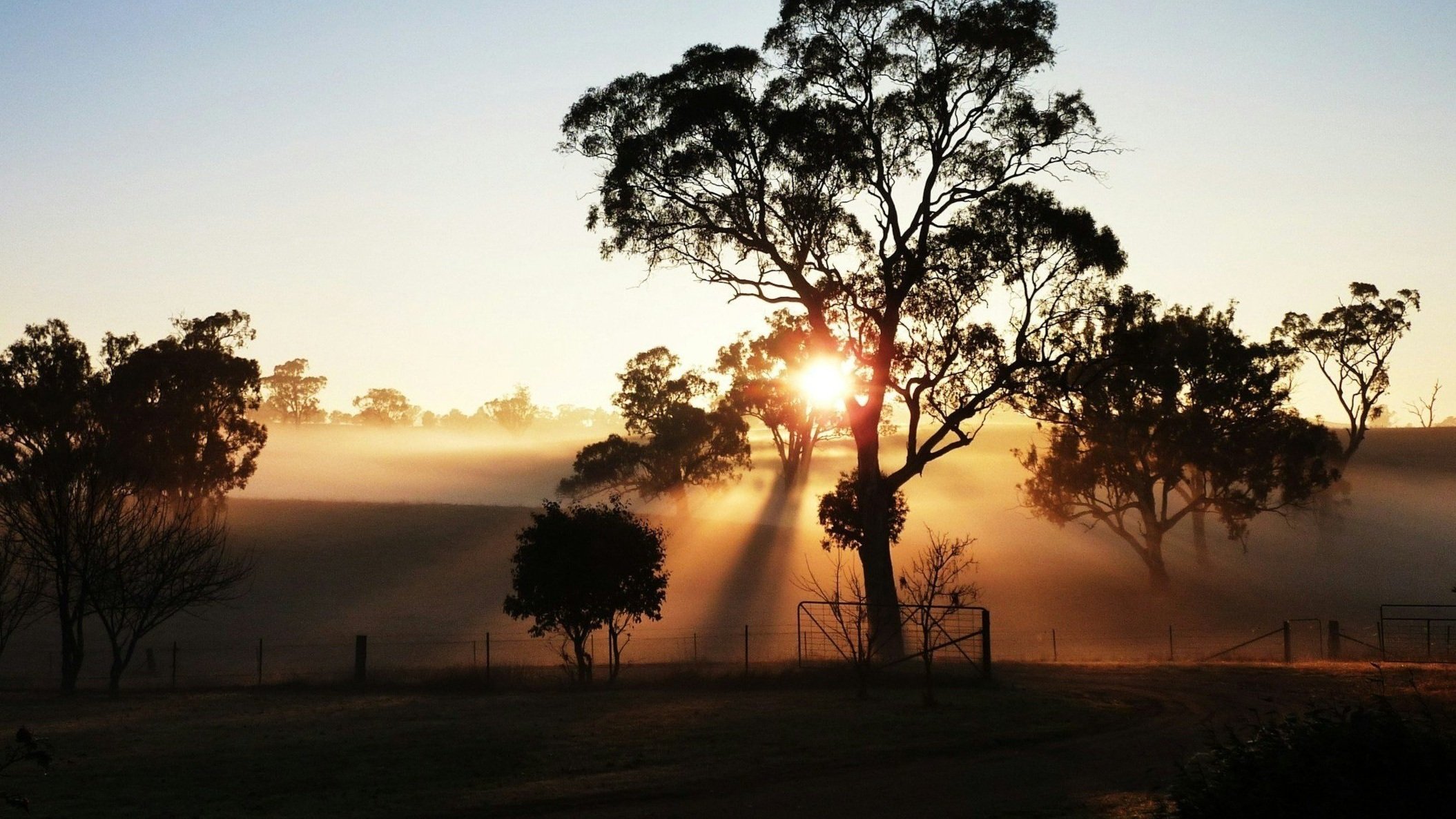 The Menopause Landscape in Australia 