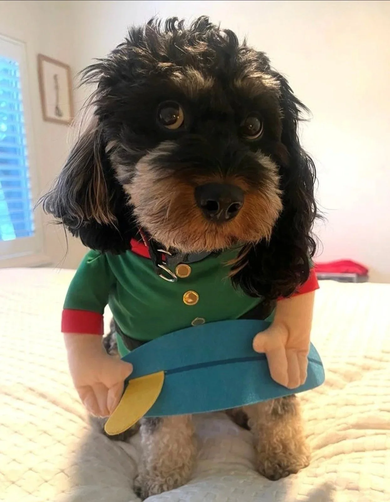 When Christmas Collides With Perimenopause: How to Stay Grounded (and Sane) This Festive Season