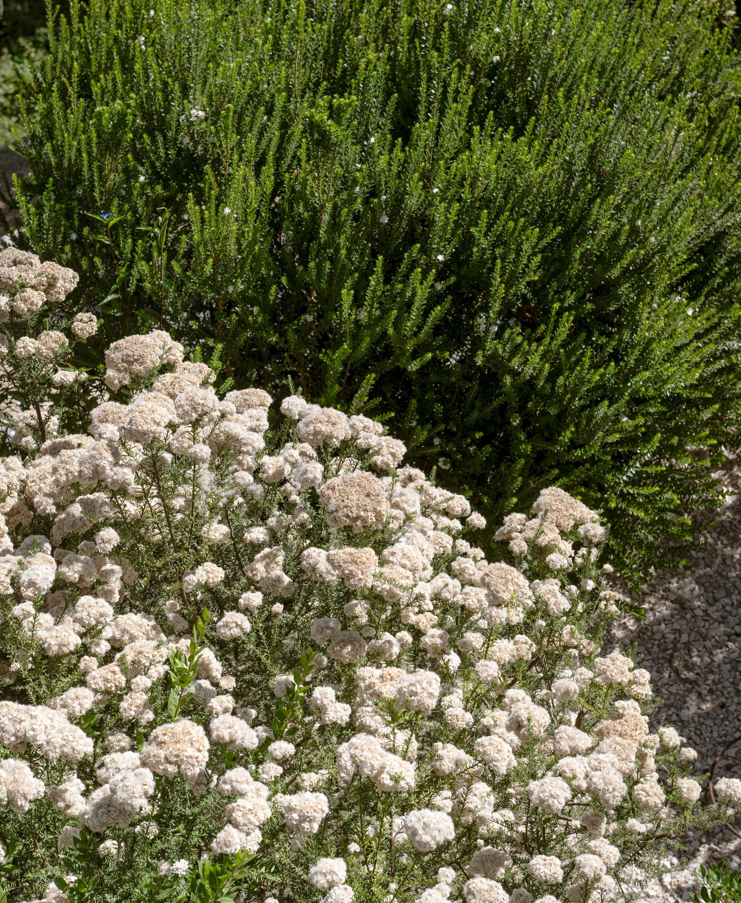 NZ6_8402CVC2024.jpg
