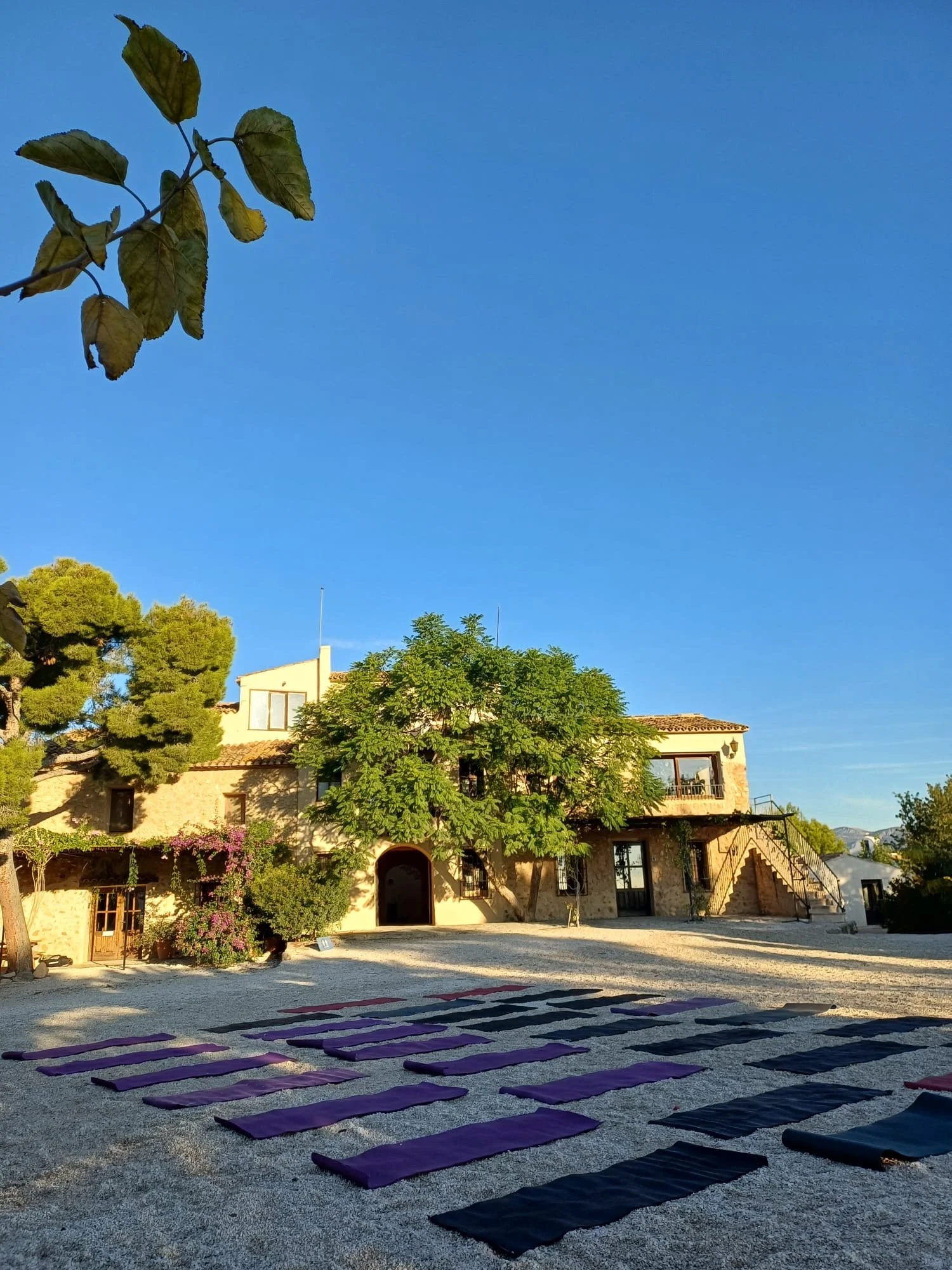 Encuentro Espacio Calma en Finca Cautivador. Move &amp; Reset con Fernando y Encarni.