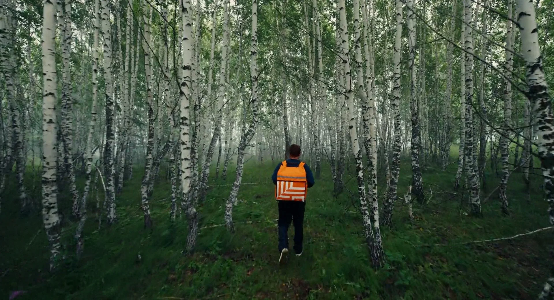 Горыныч.2025.WEB-DL 1080p-0072.jpg