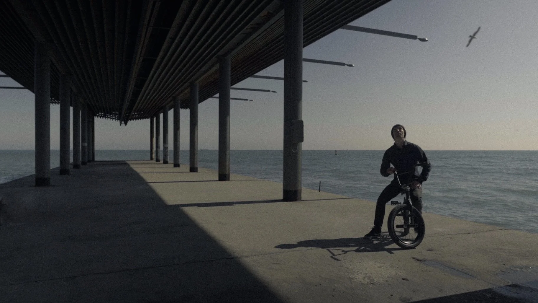 A man riding a bicycle on a pier by the ocean with seagulls flying overhead during daytime.