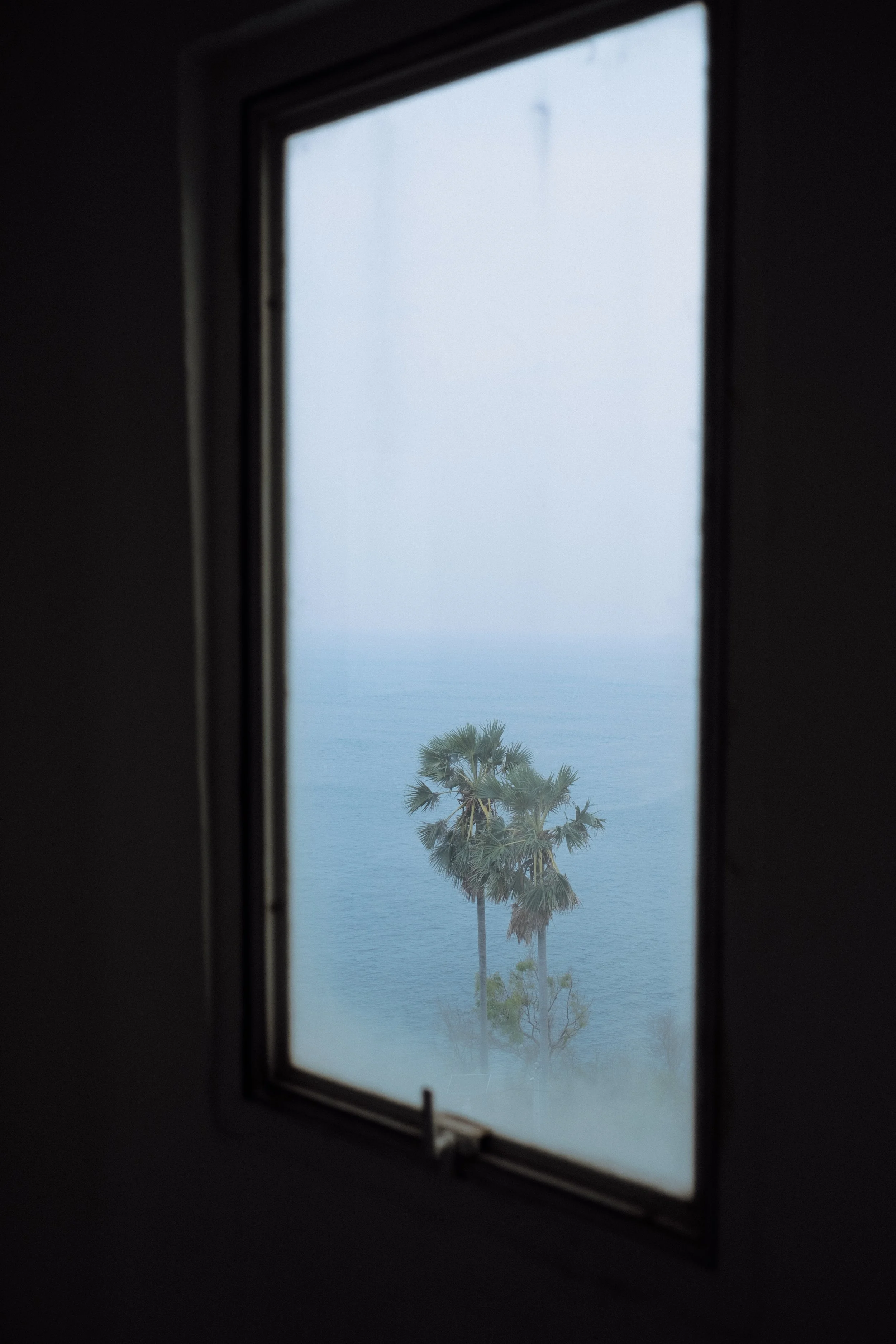 View through foggy window of palm trees on shoreline in the distance.