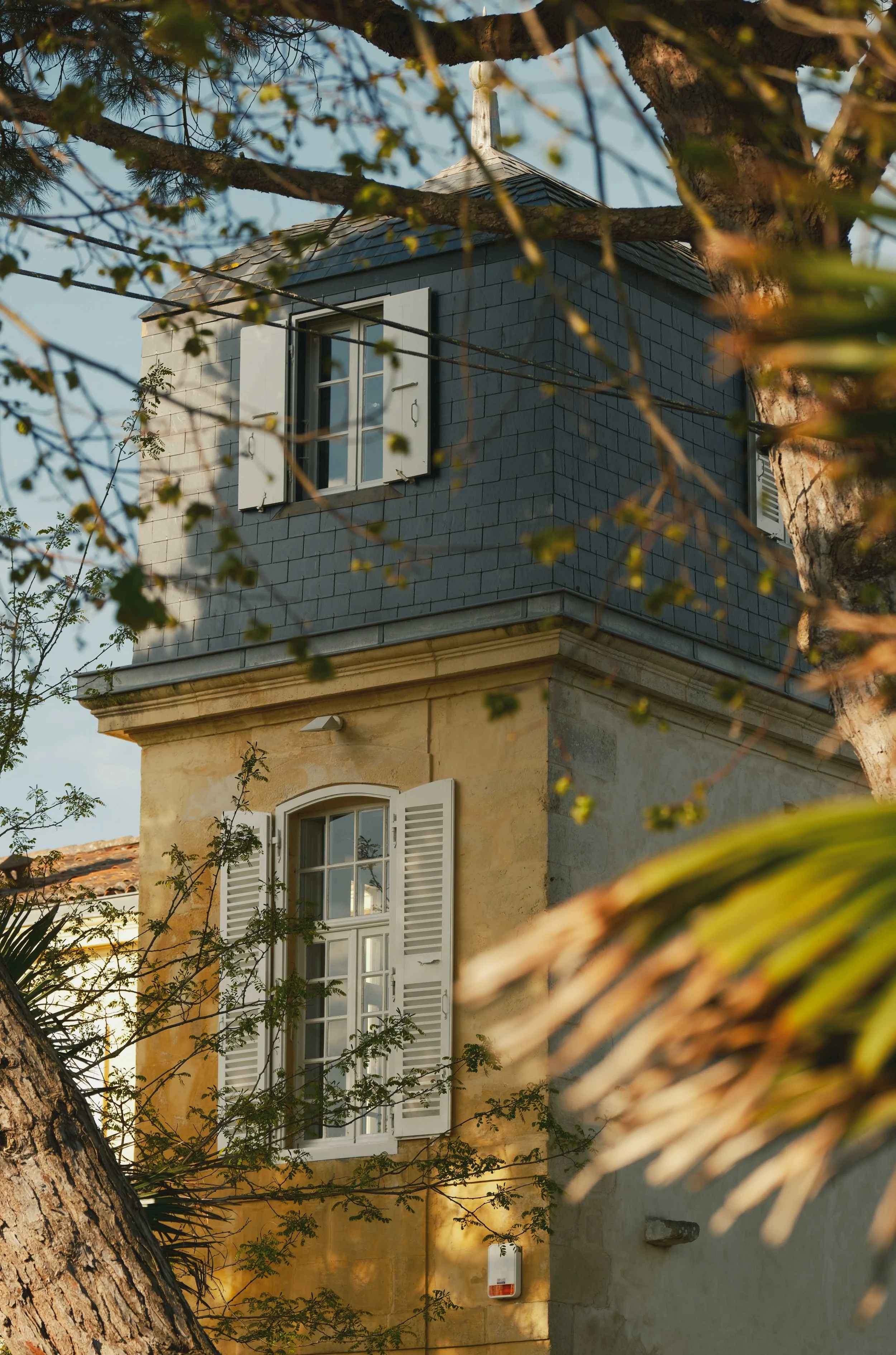 la Baronnie 2025 SD-60.jpg