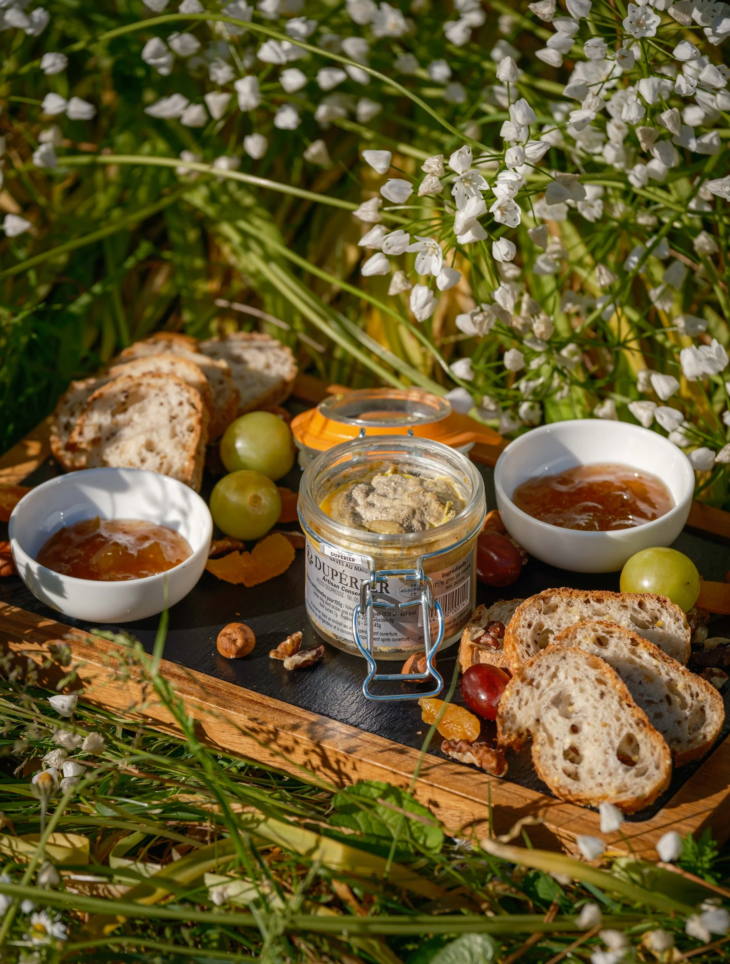 la Baronnie 2025 SD-47.jpg