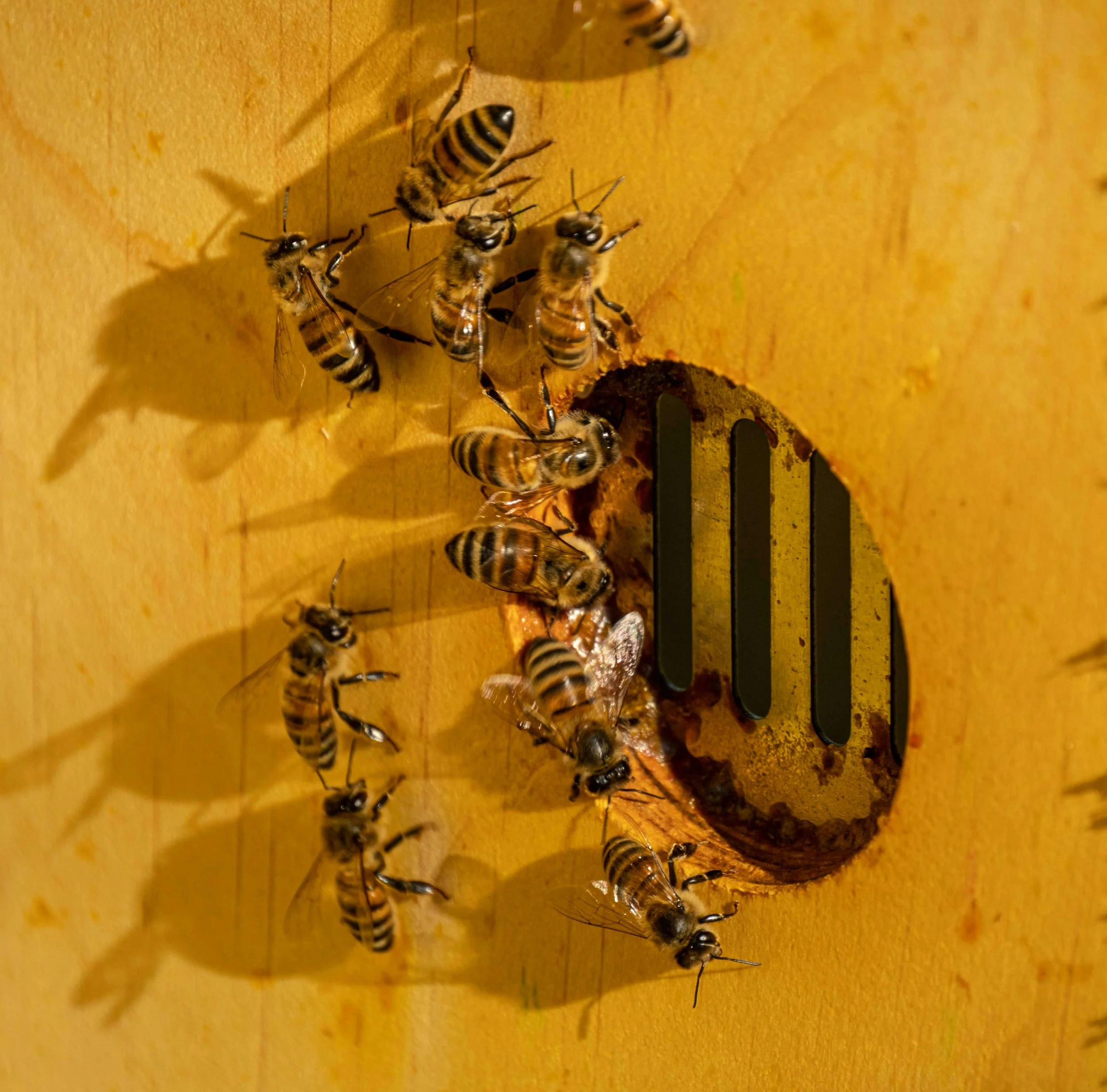 Empathy: a leadership discipline, not a soft skill