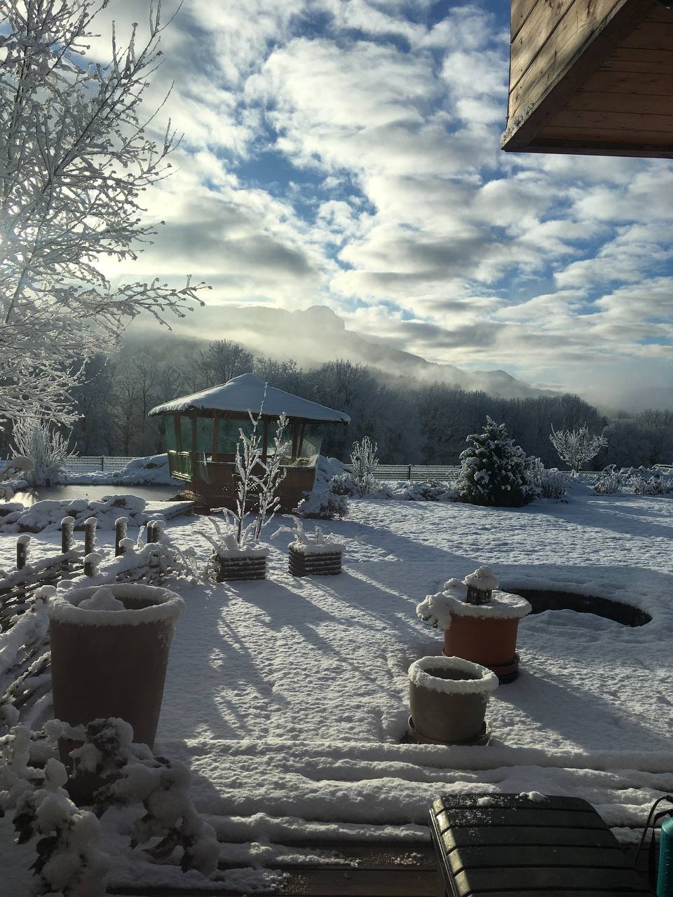 20220317_145525_IMG_8435 (2).JPG