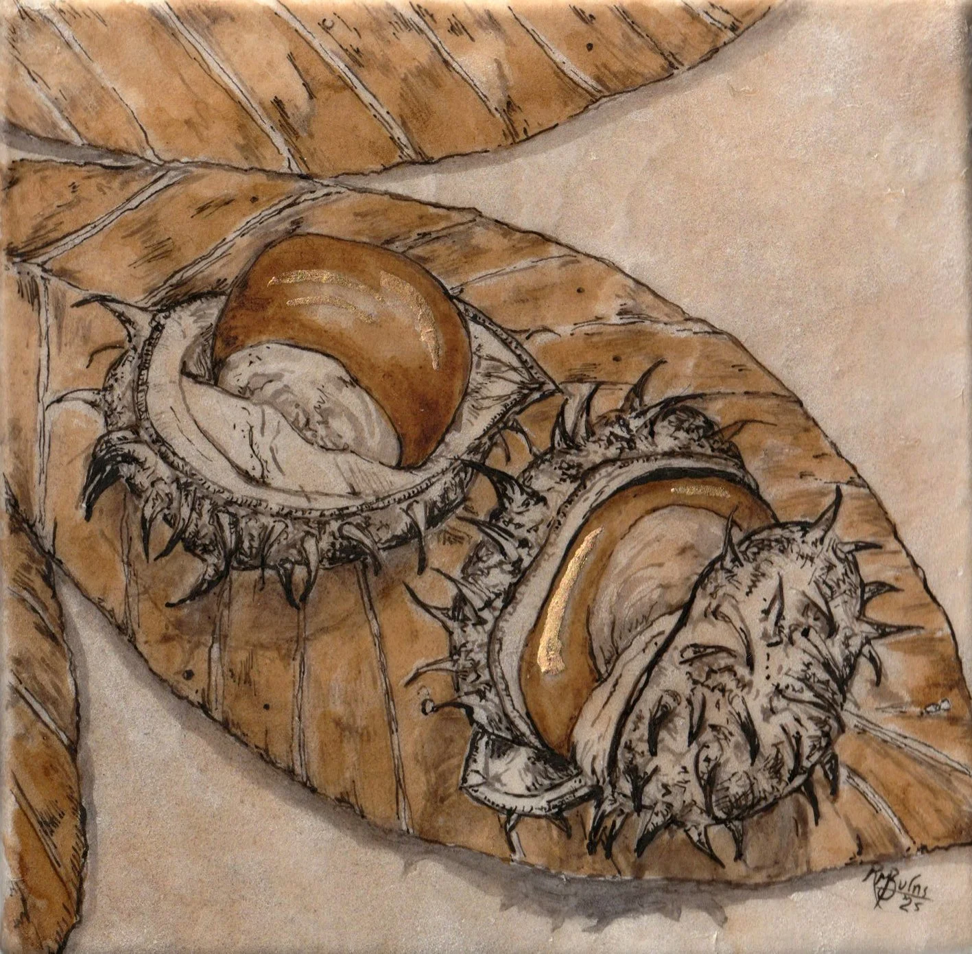 rosieburnsartis oak gall ink scottsh gold deer parchment