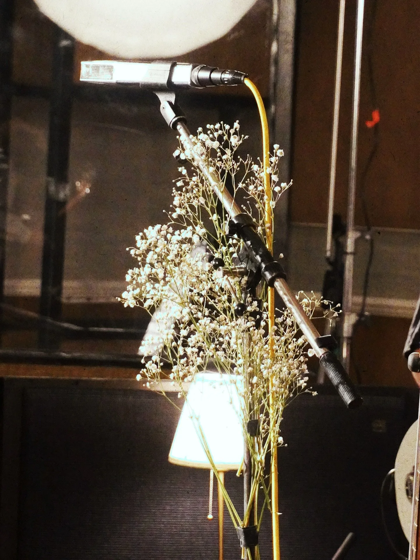 my favourite flower is the flower at the end