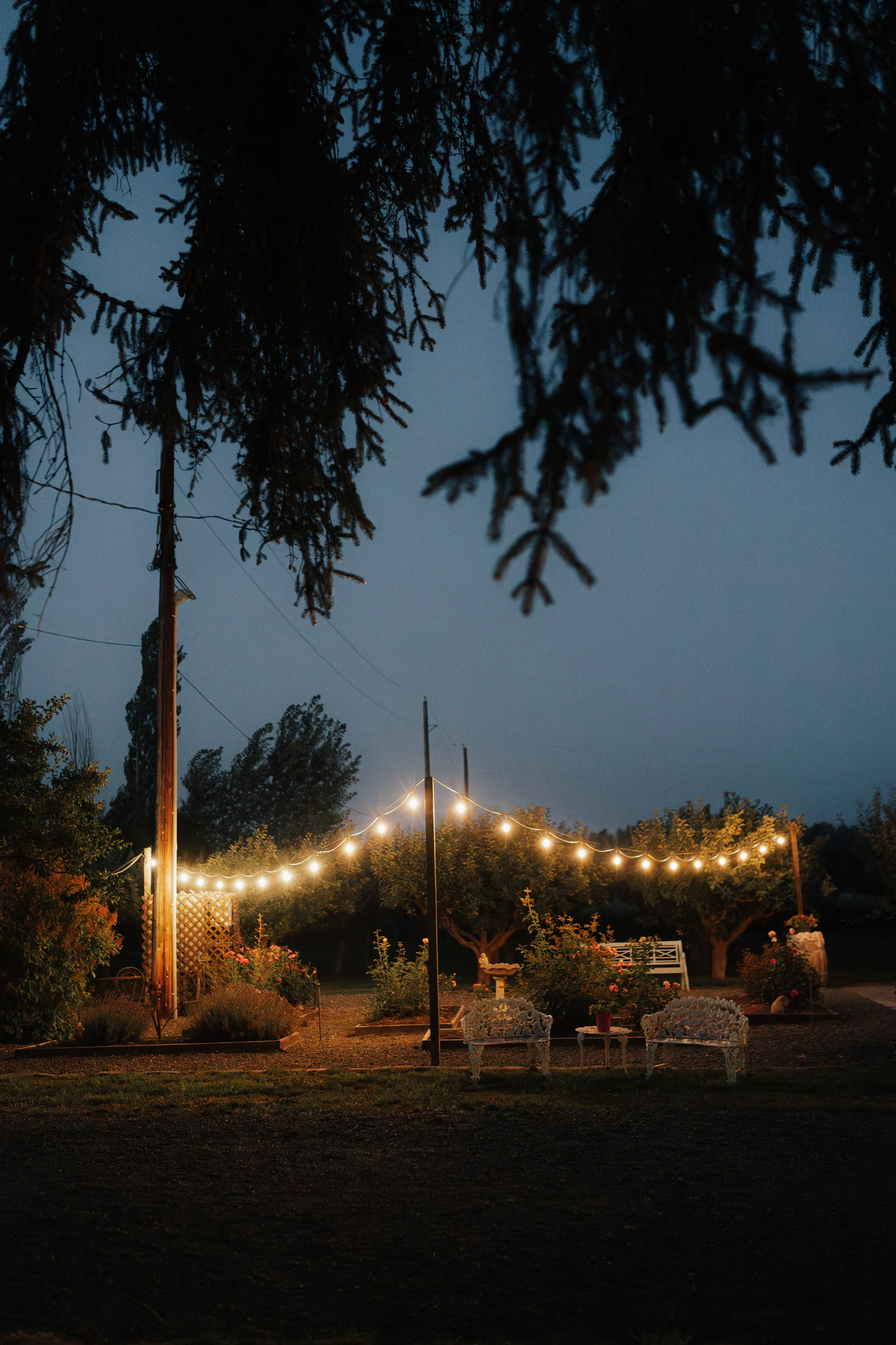 Ein Garten bei Nacht mit Lichterketten, Bänken und Umgebungsbäumen.