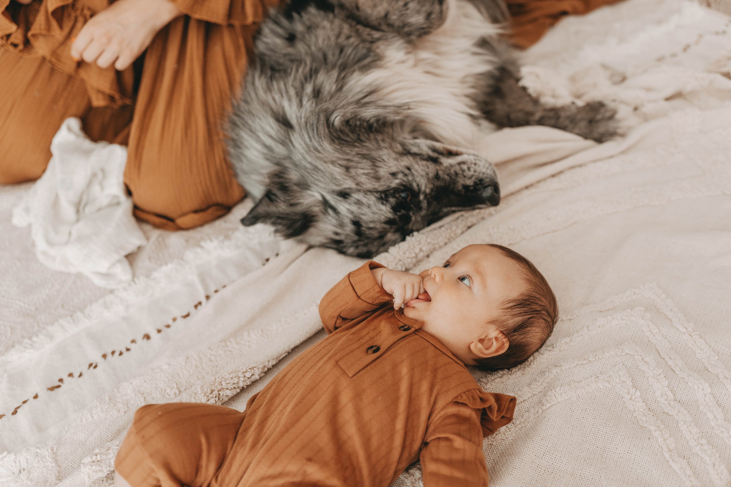 Ein Baby in einem braunen Strampler liegt neben einem großen flauschigen Hund auf einer Decke.