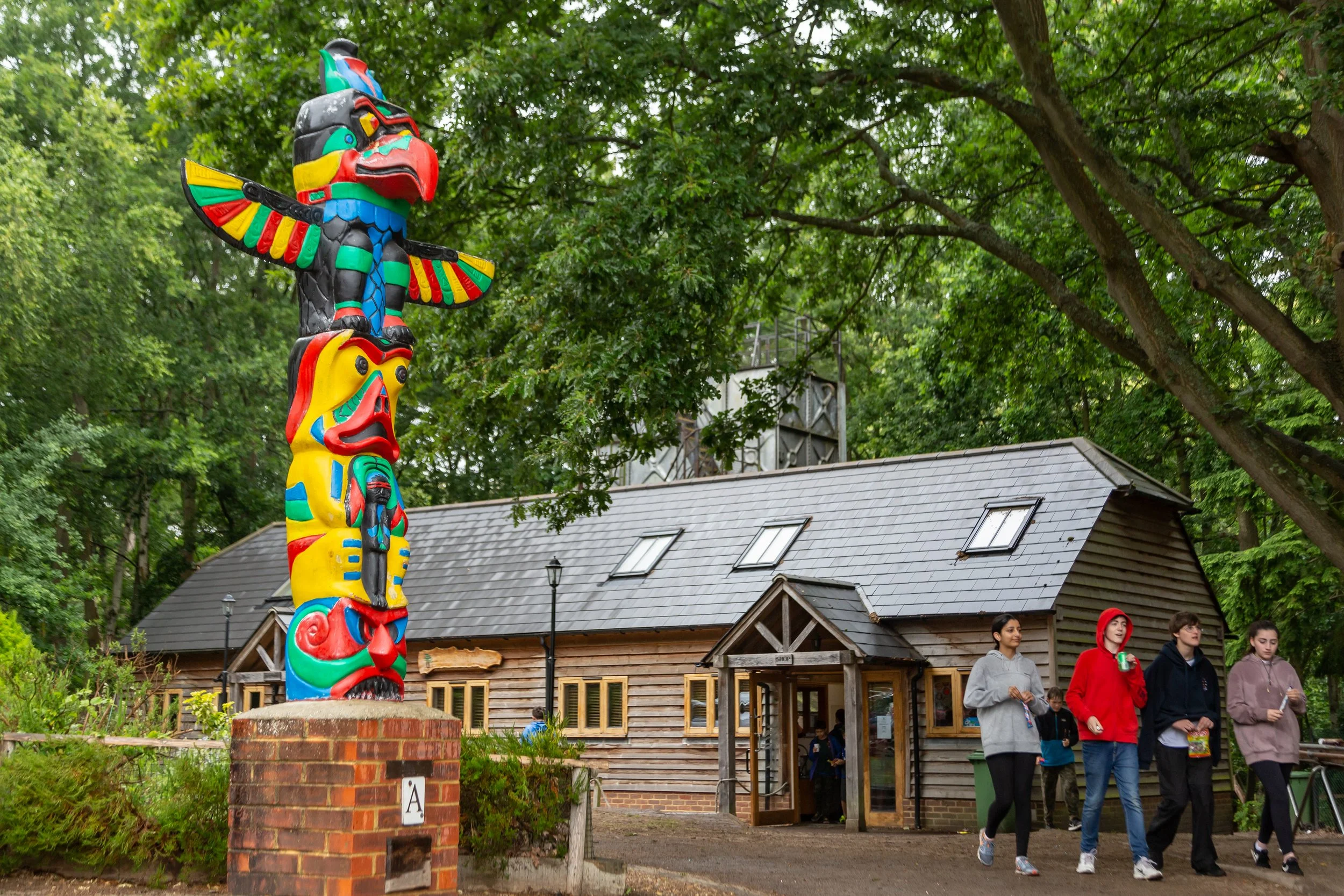 Walton Firs Activity Centre Experience Outdoor Fun Book Today Walton Firs Activity Centre Experience Outdoor Fun Book Today