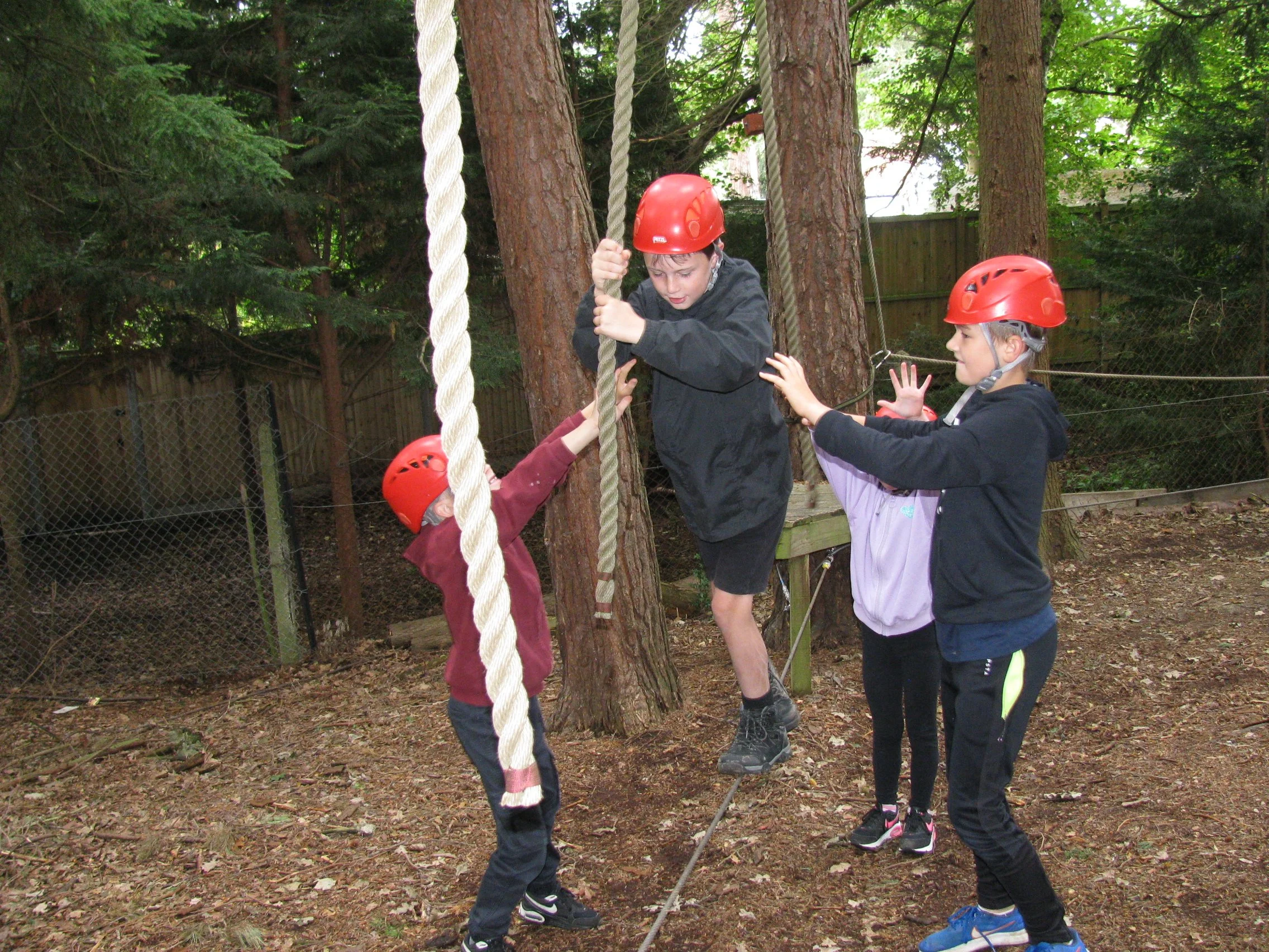 Low Ropes | Discover Teamwork Today — Walton Firs Activity Centre