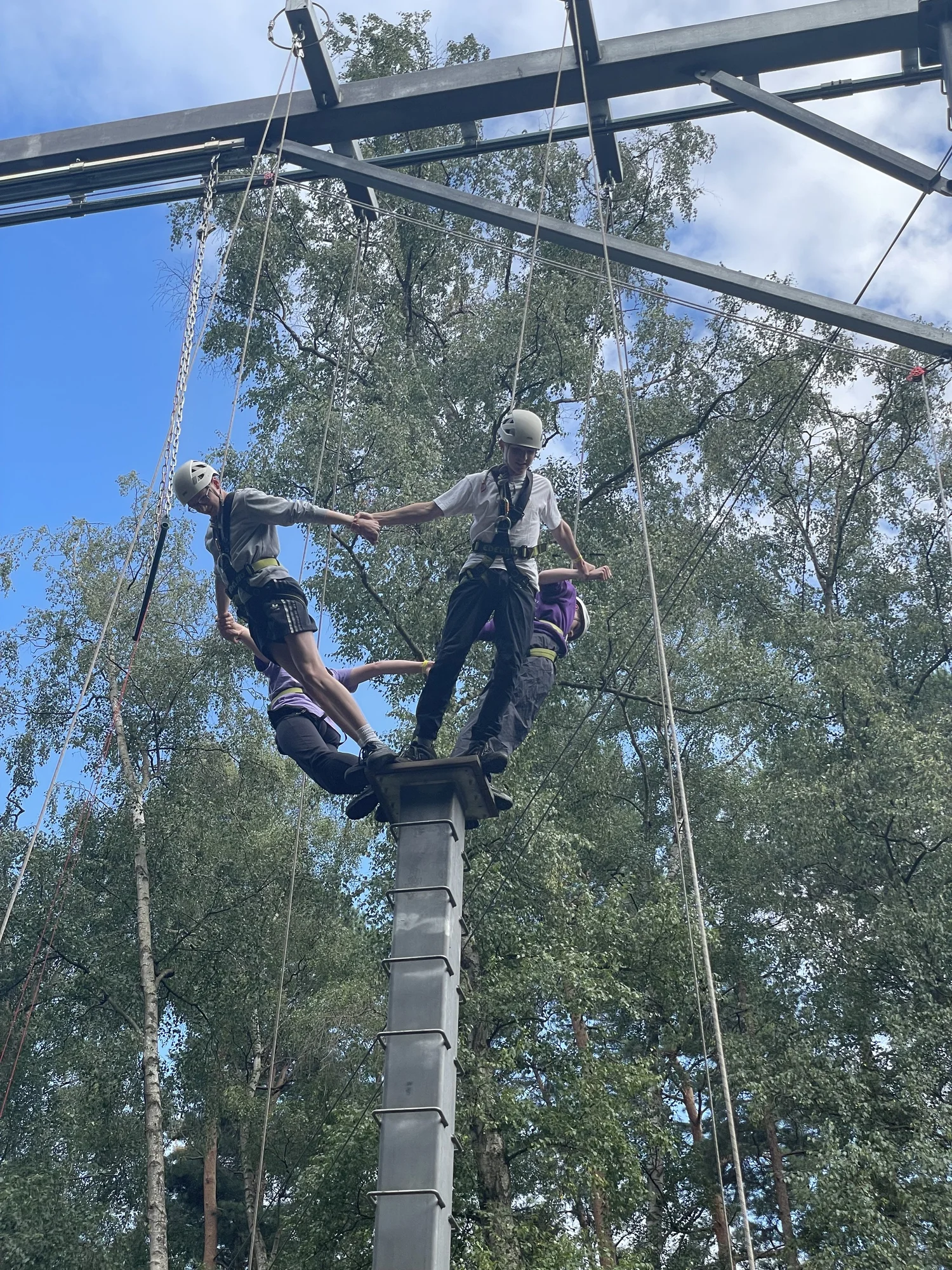 High Ropes | Experience Adventure — Book Now — Walton Firs Activity Centre