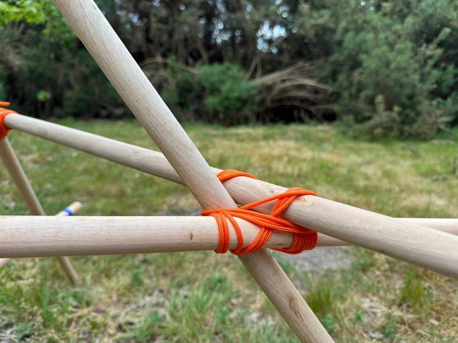 Catapult Step 12 (SL3).jpeg