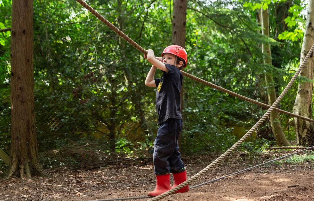 Low Ropes | Discover Teamwork Today — Walton Firs Activity Centre