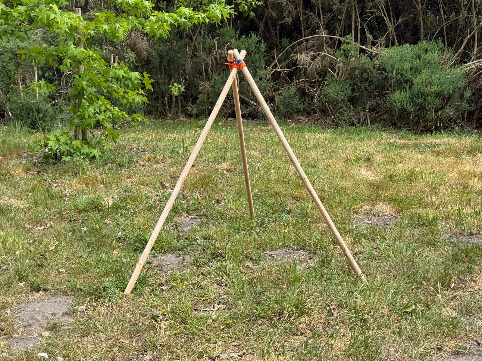 Catapult Step 9 Tripod.jpeg