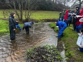 Year 11 Investigate the River Tillingbourne&nbsp;