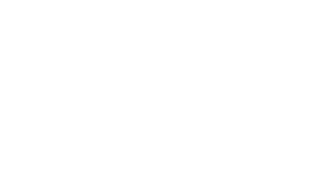 Black background with the word 'NAVARIS' in white capital letters, partially surrounded by two white curved lines, creating a circular design.