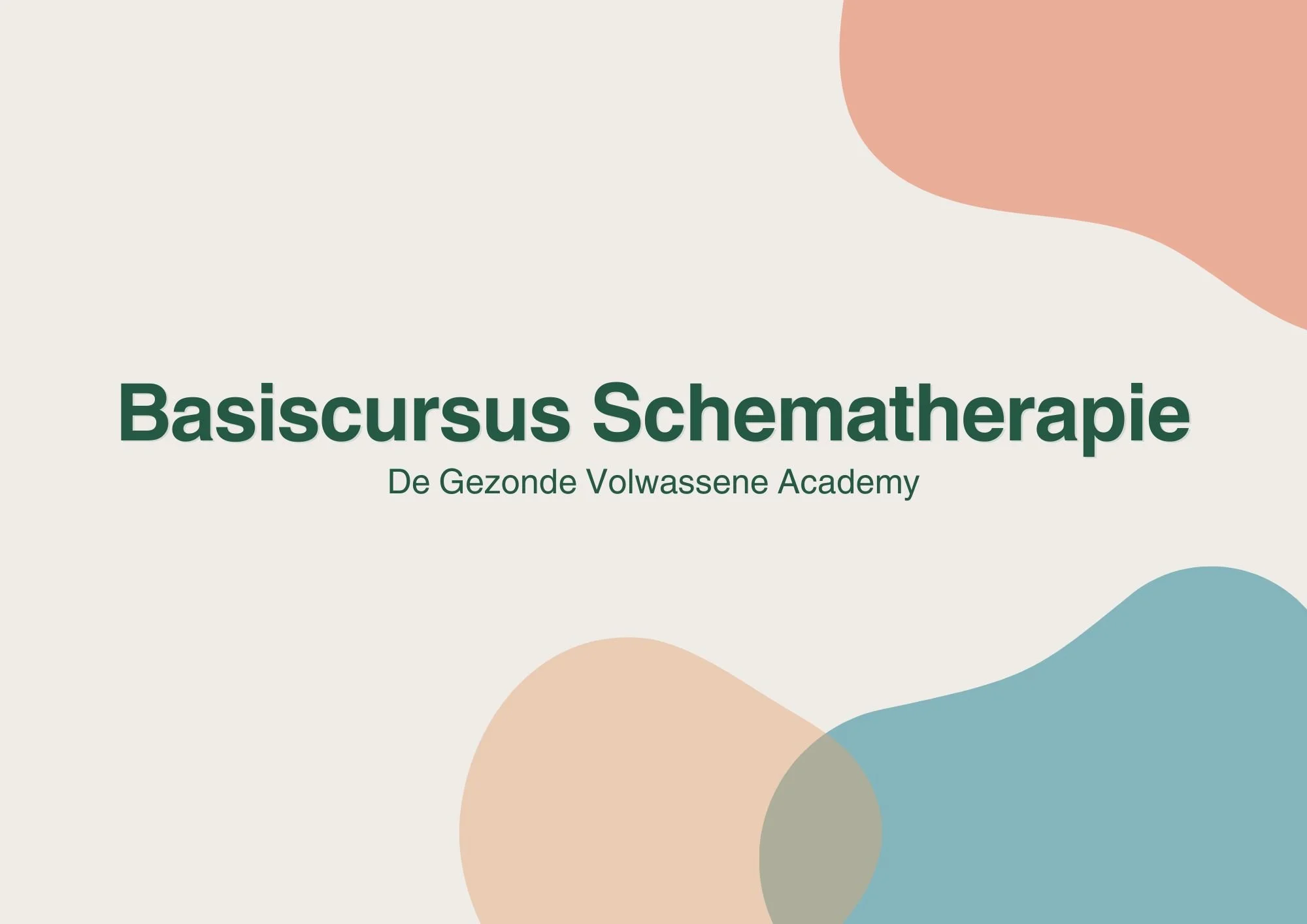 Basiscursus schematherapie in Utrecht (25 uur)