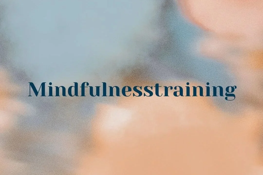 Mindfulness &amp; schematherapie