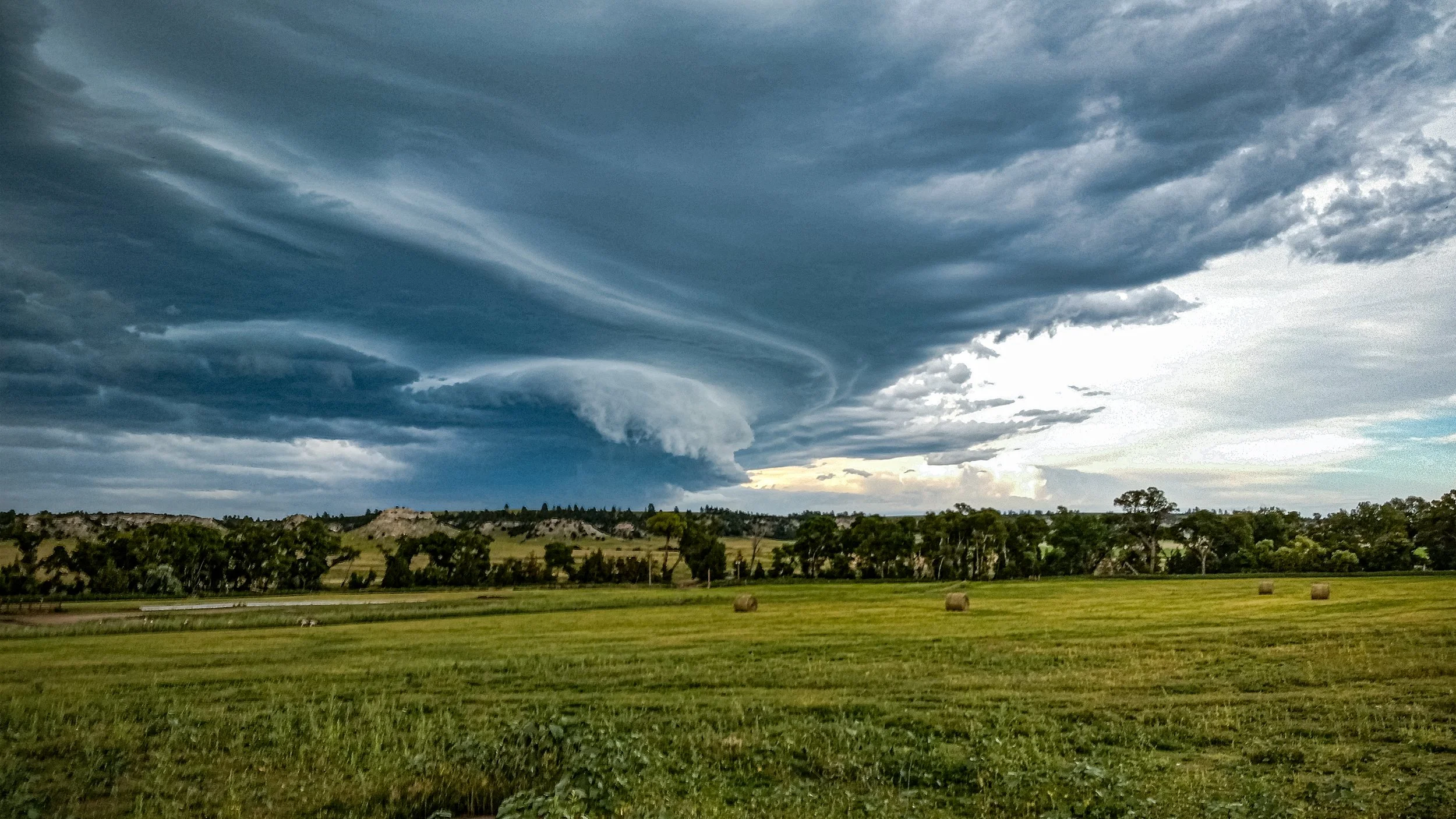 Storm_Print copy.jpg