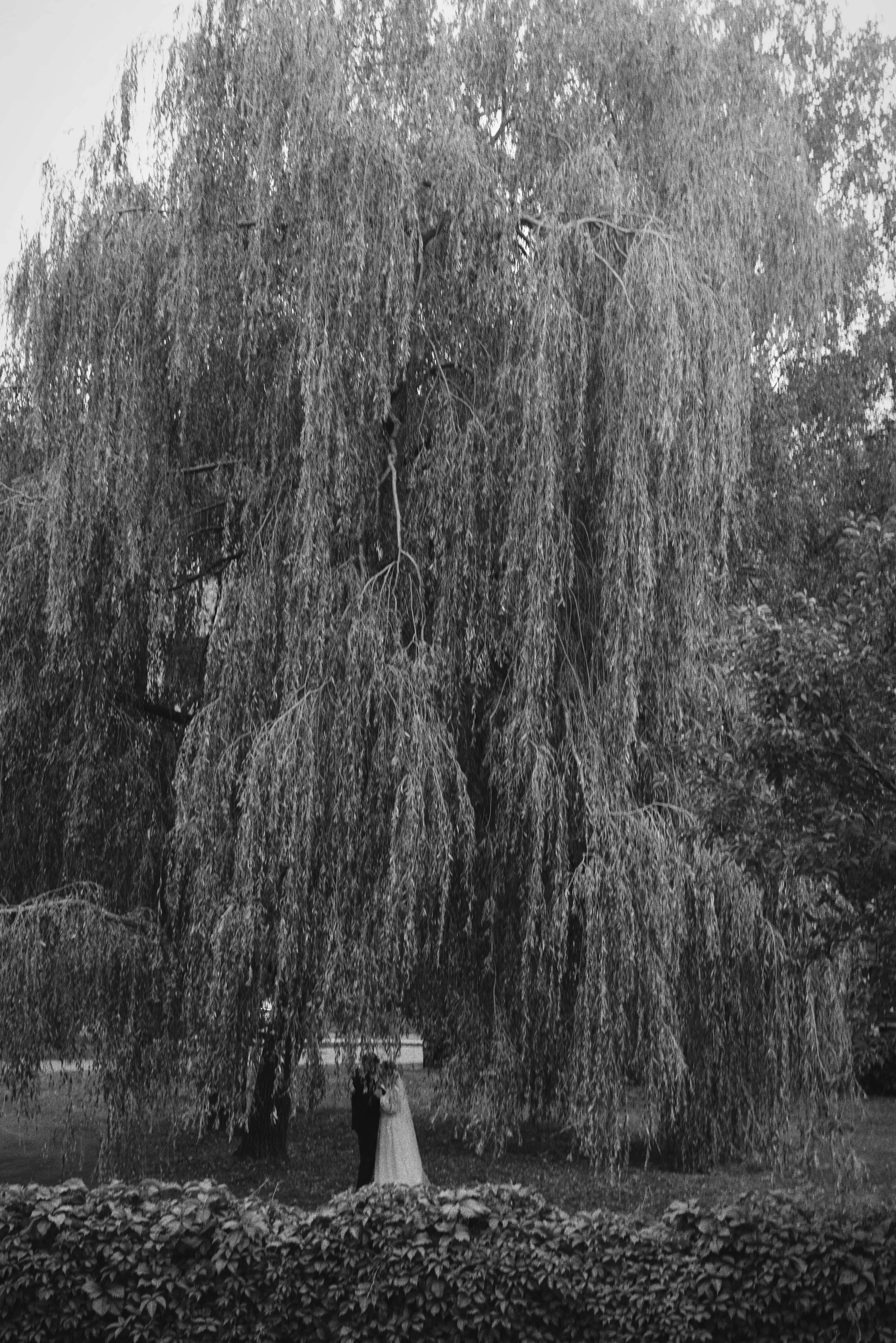 Bryllupsfotograf i Oslo