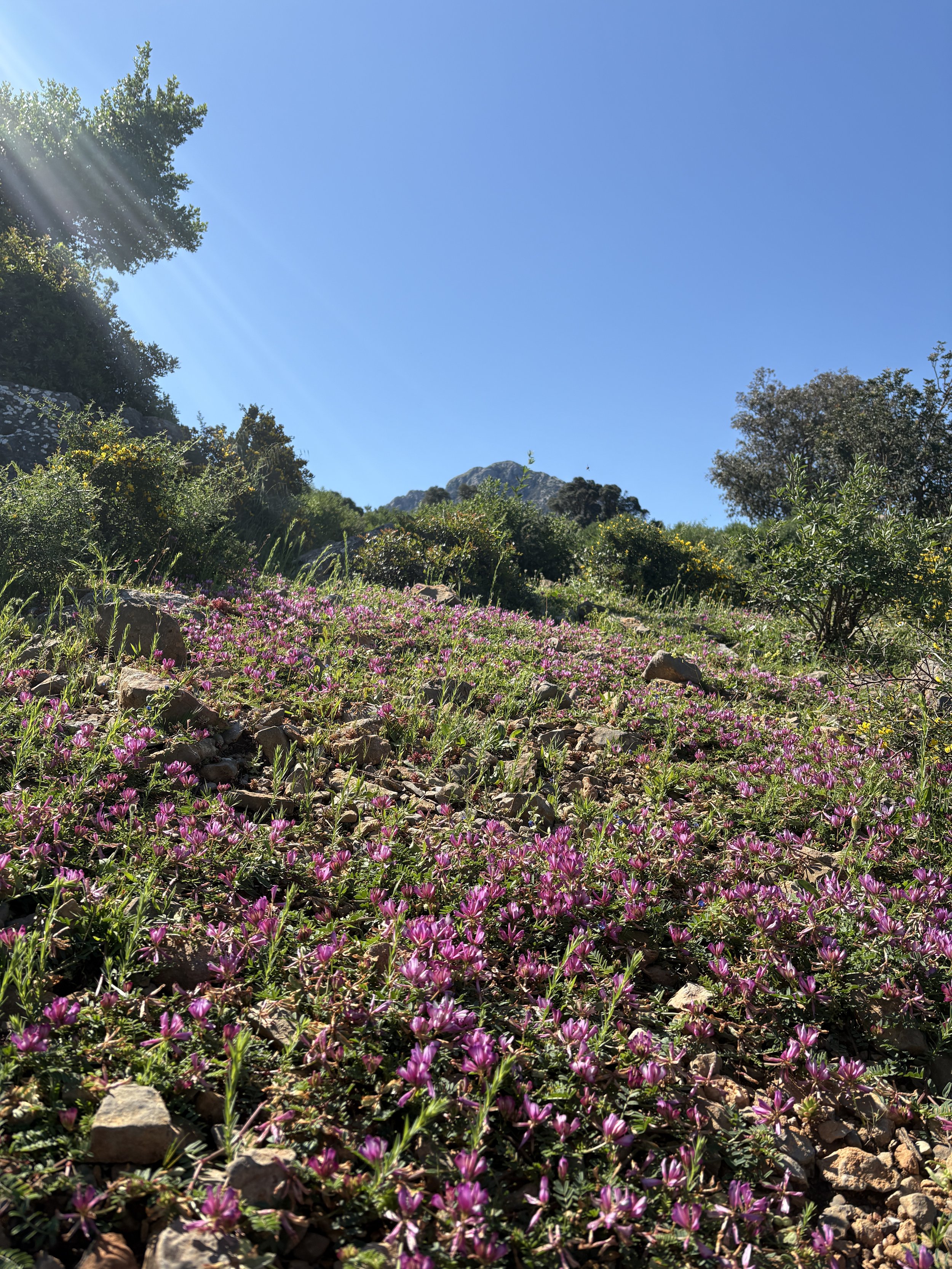 IMG_0761.jpeg