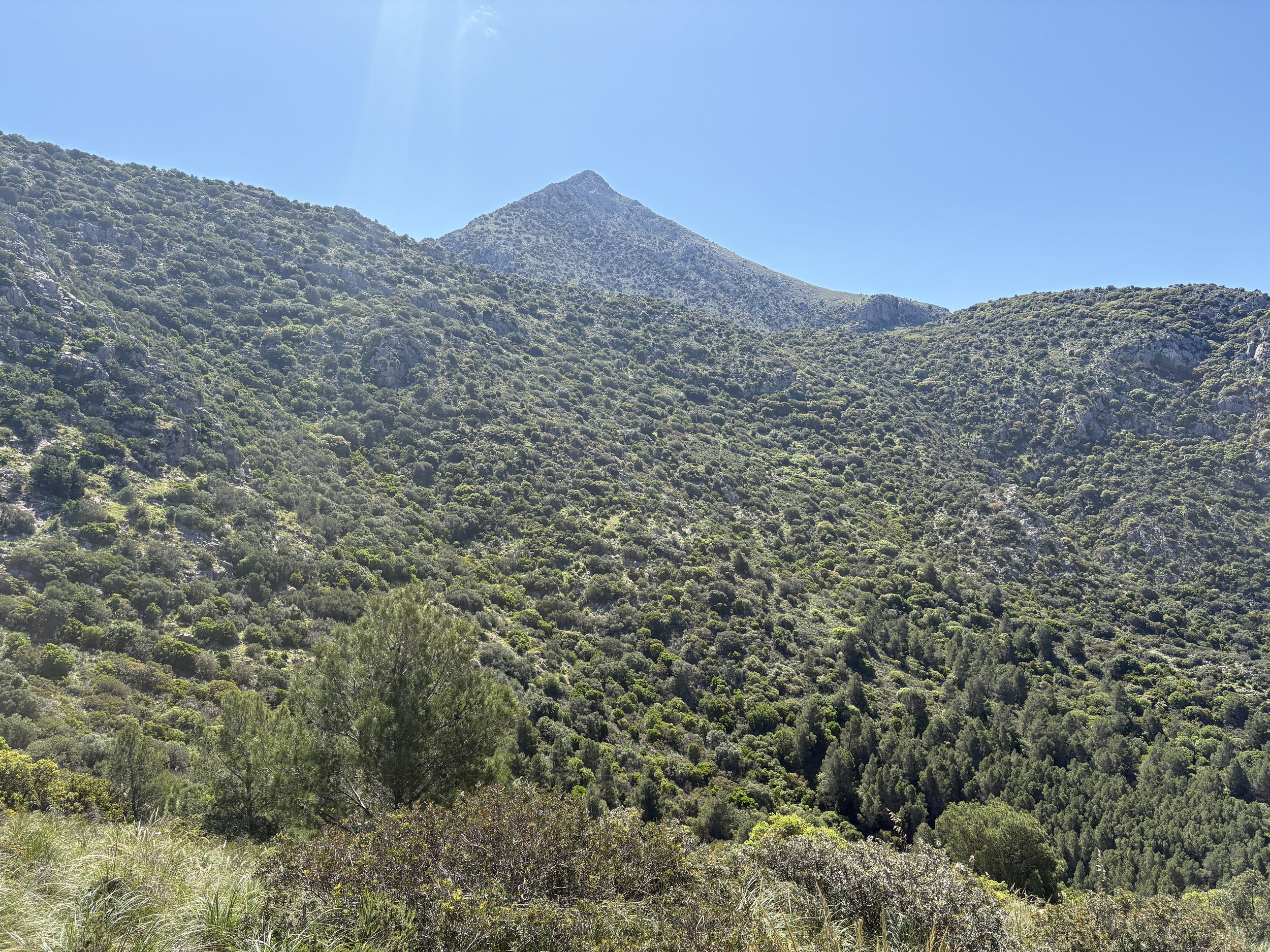 IMG_0772.jpeg