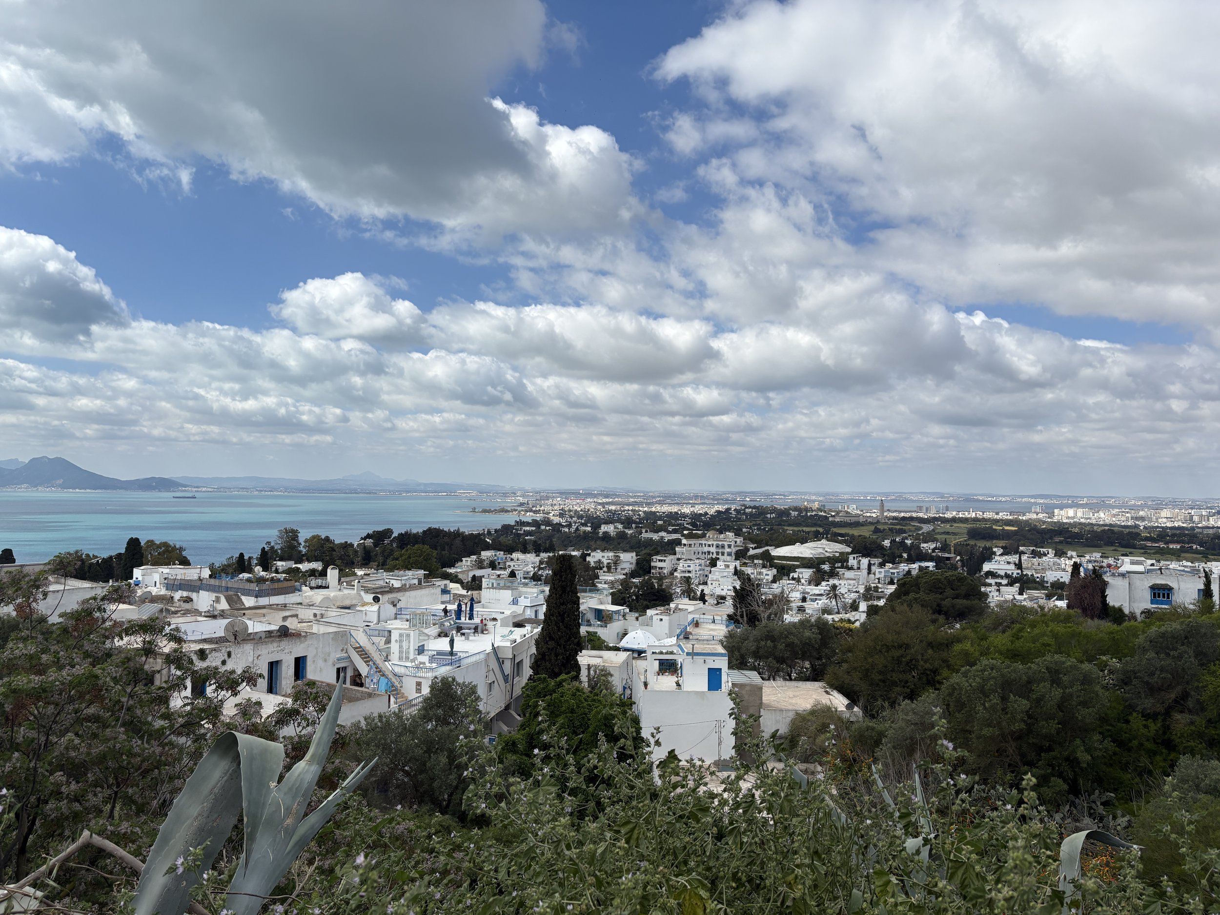IMG_0840.jpeg
