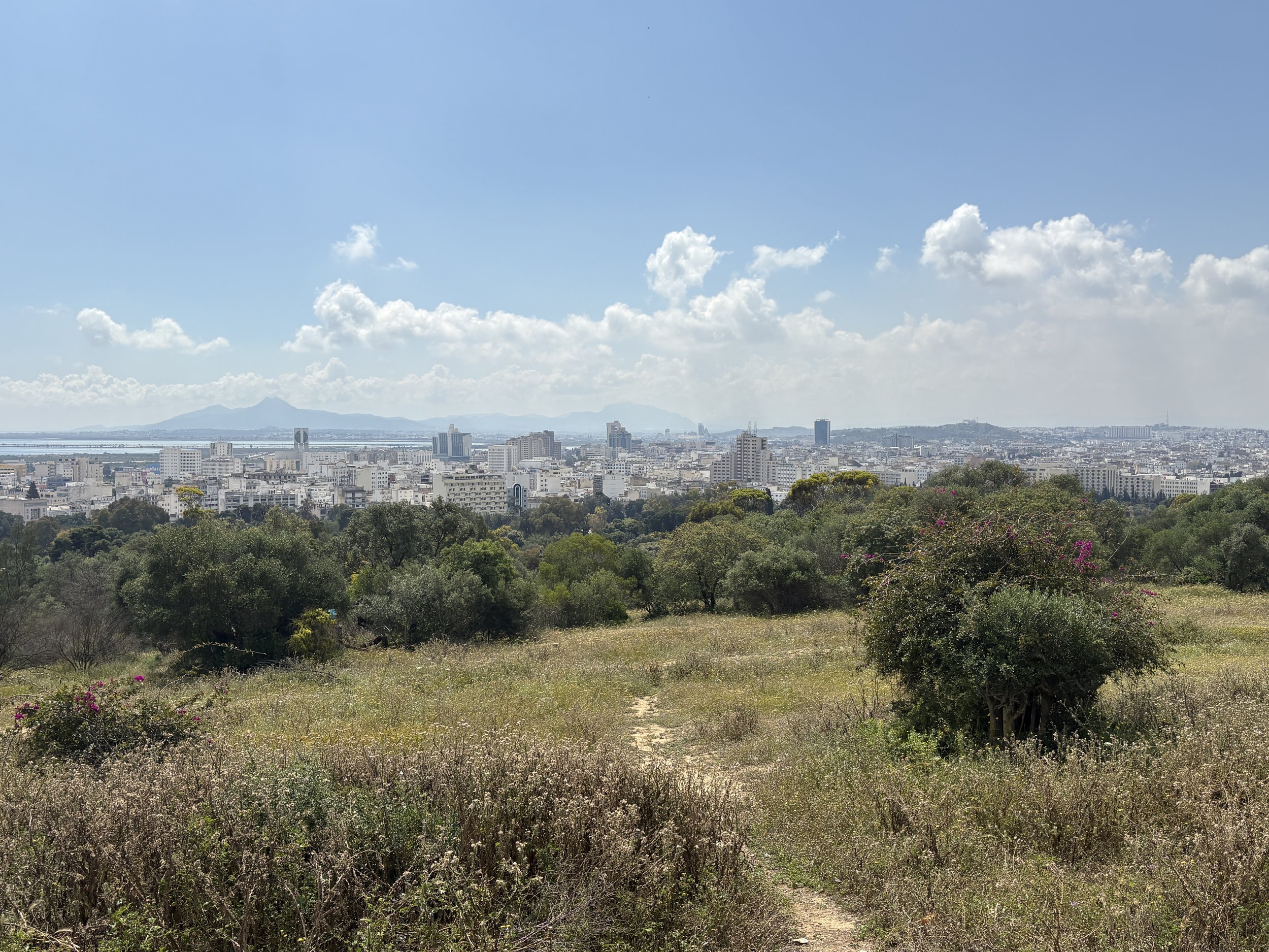 IMG_0902.jpeg