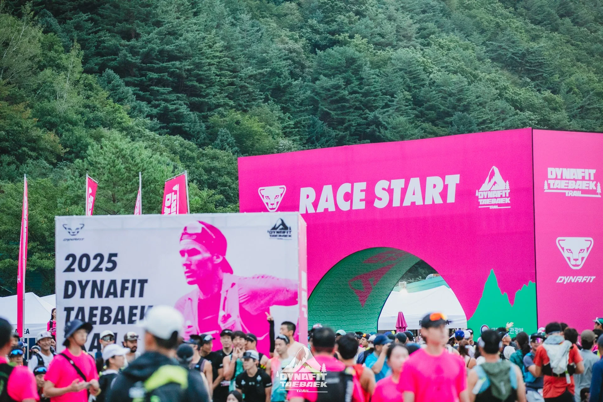 Dynafit Taebaek Trail 51k – The Essence of Korean Trail Running 🇰🇷