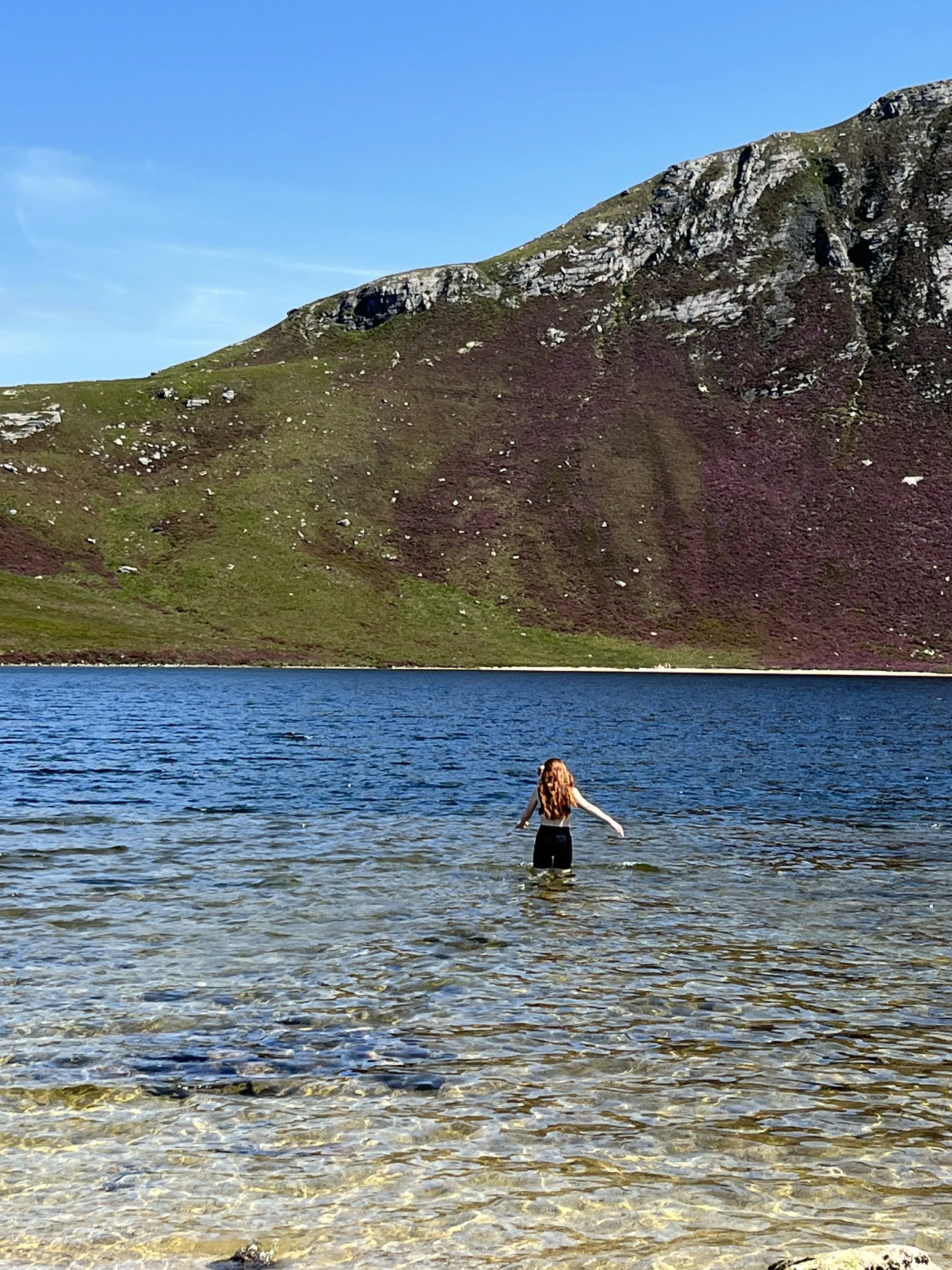 Love Letters From Arran : This is my wild life.