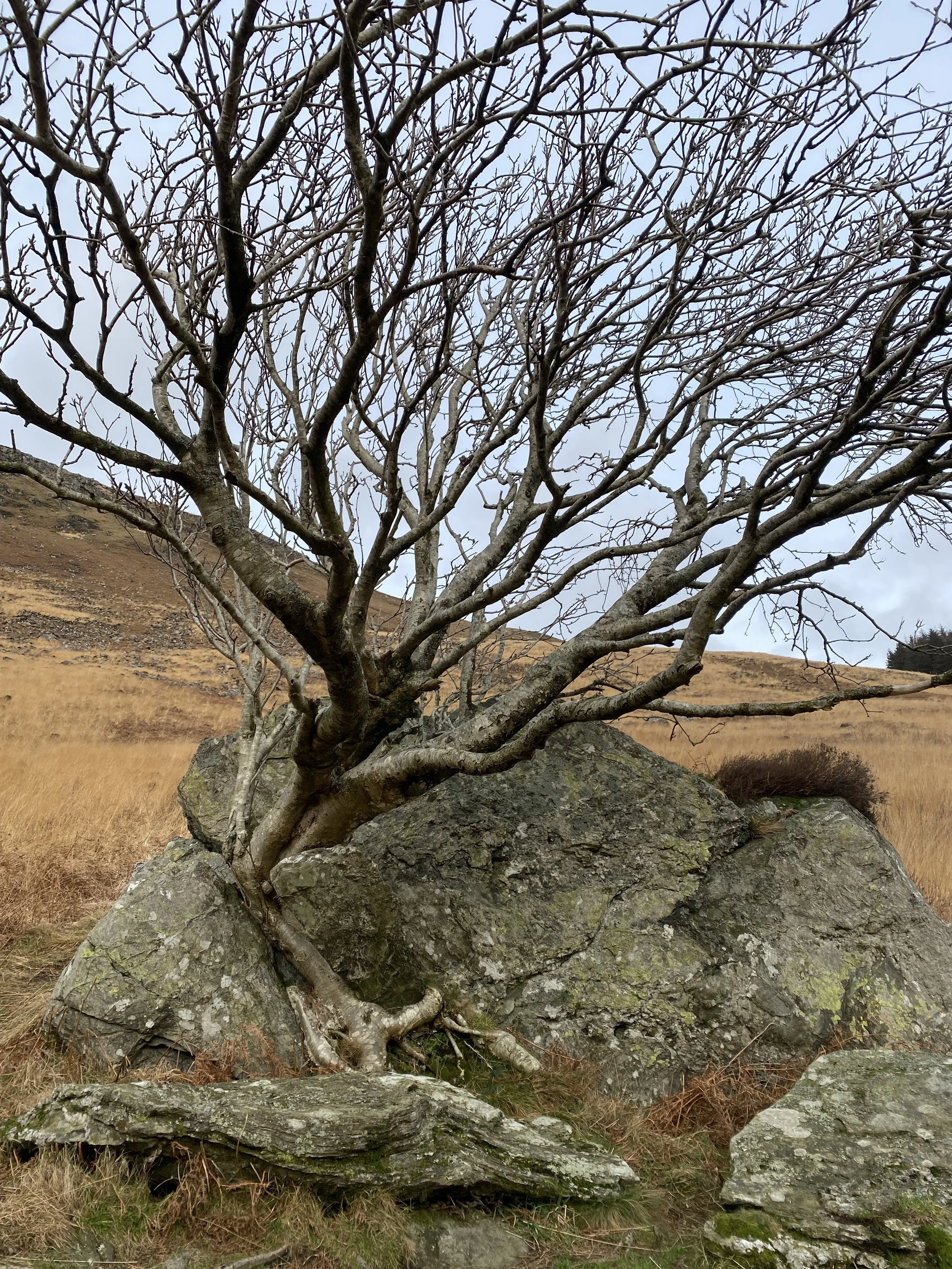 These are the slower months, or so we’re told.