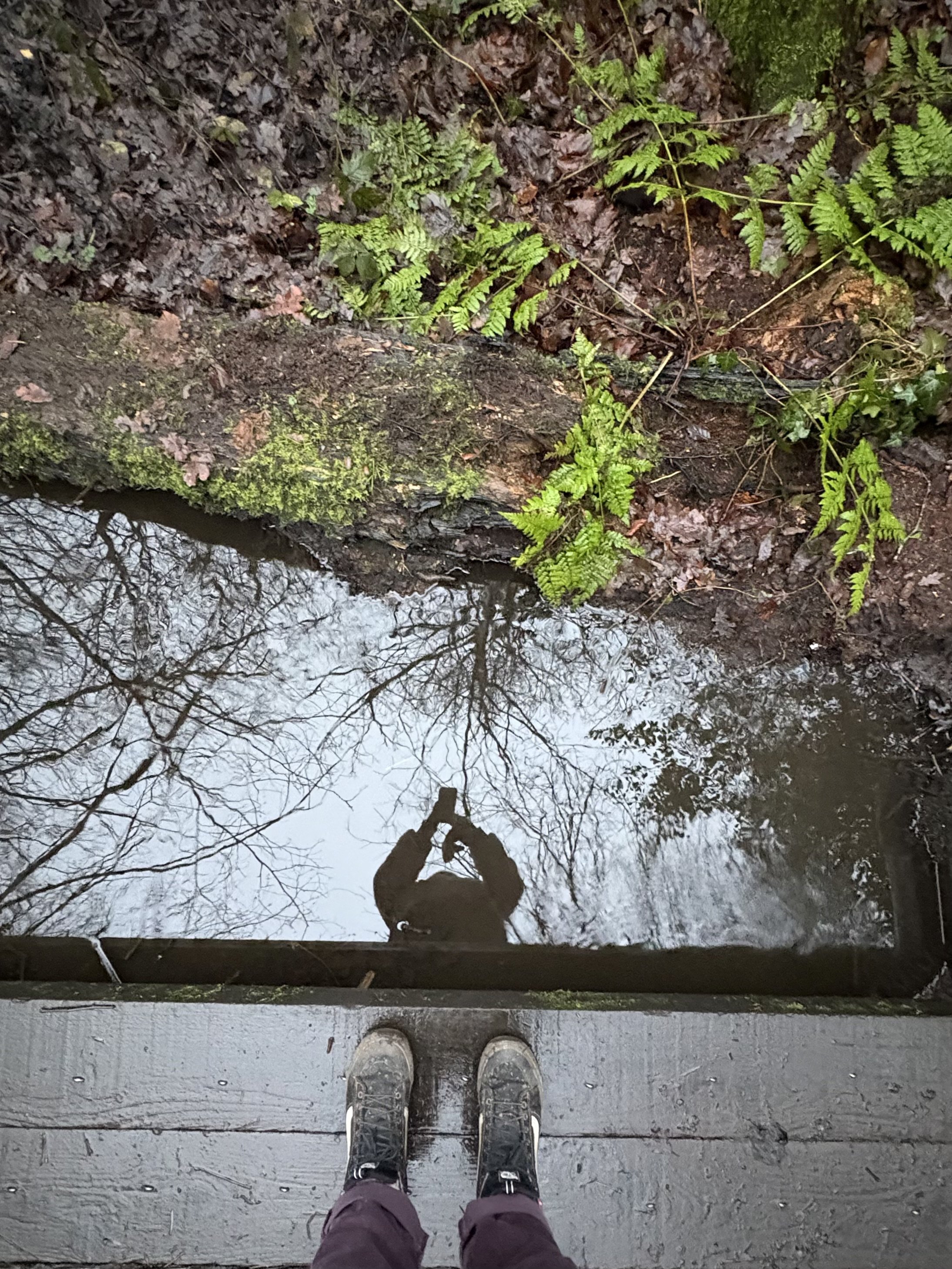 We are never really lost