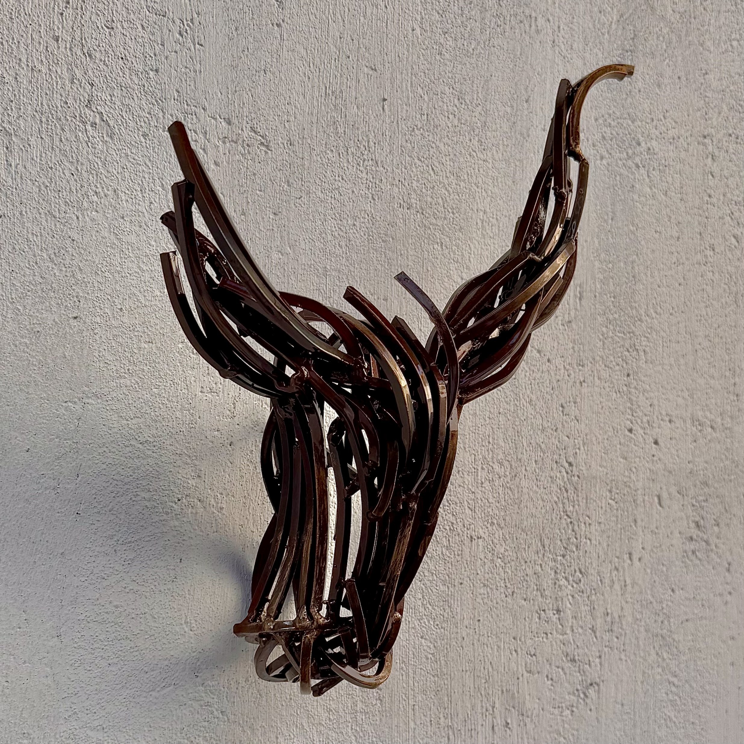 CRANEO INCOMPLETO