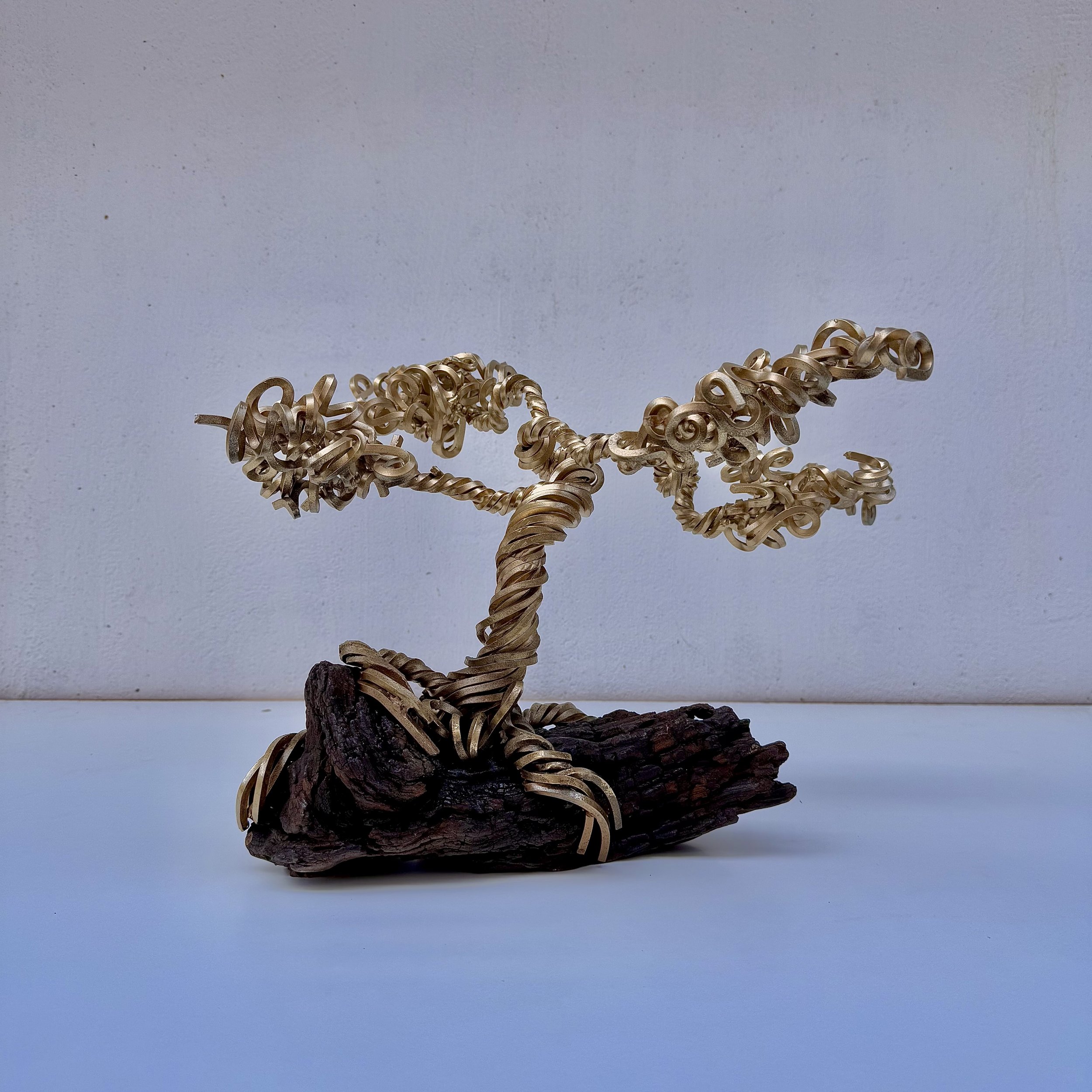 BONSAI DORADO