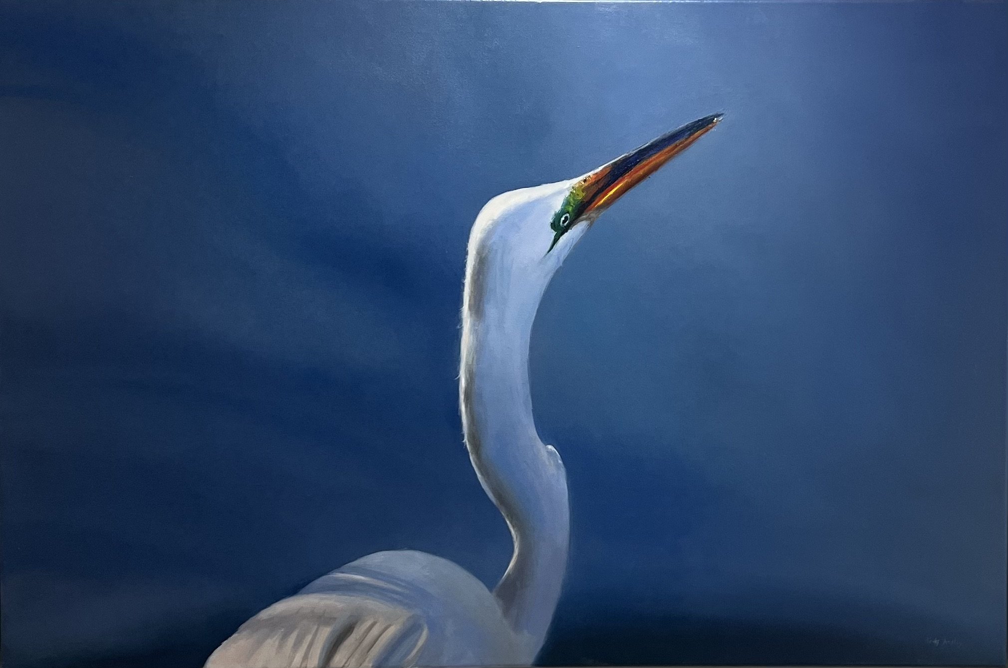 Blue Heron
