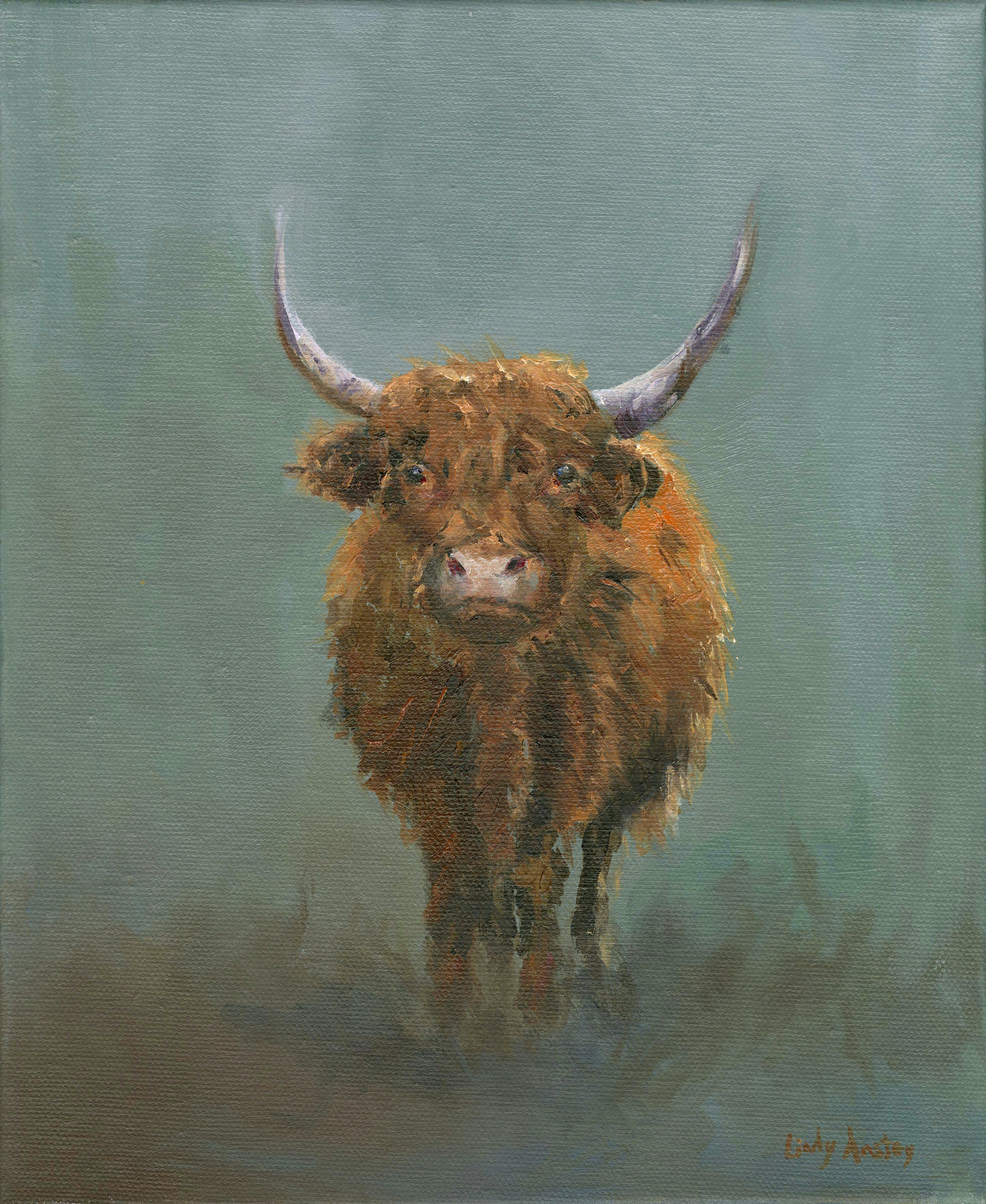 highland cow 2 for website .png