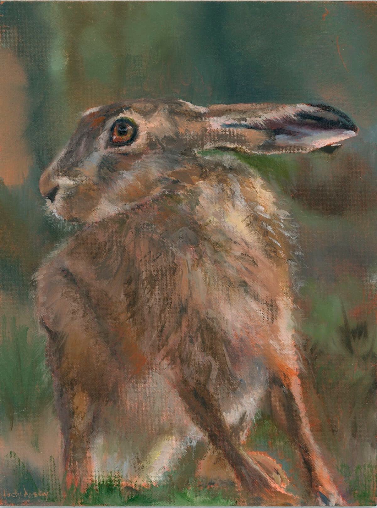 new hare with red .jpg