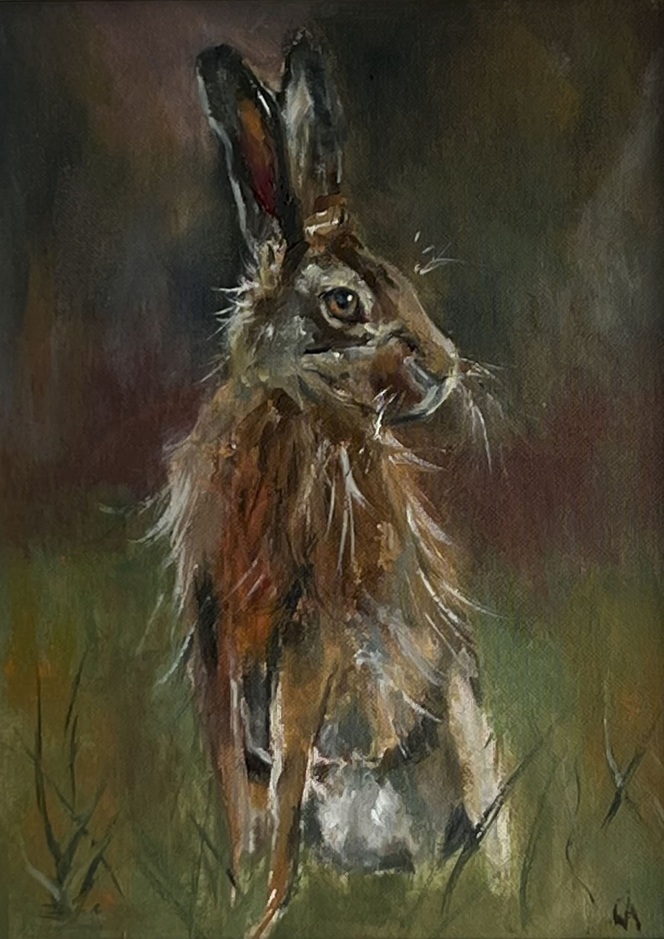 Rough Irish Hare no border .jpg