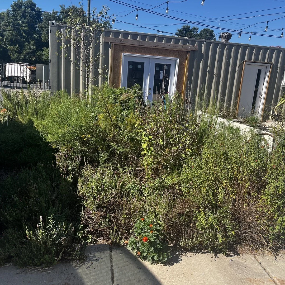 garden-09-02.jpg
