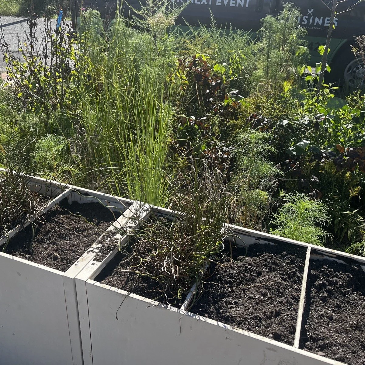 garden-09-03.jpg