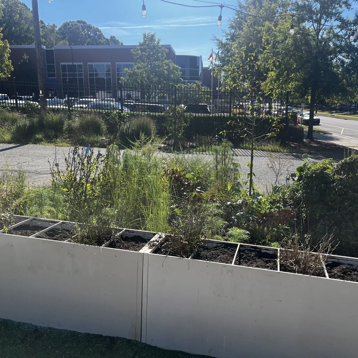 garden-09-04.jpg