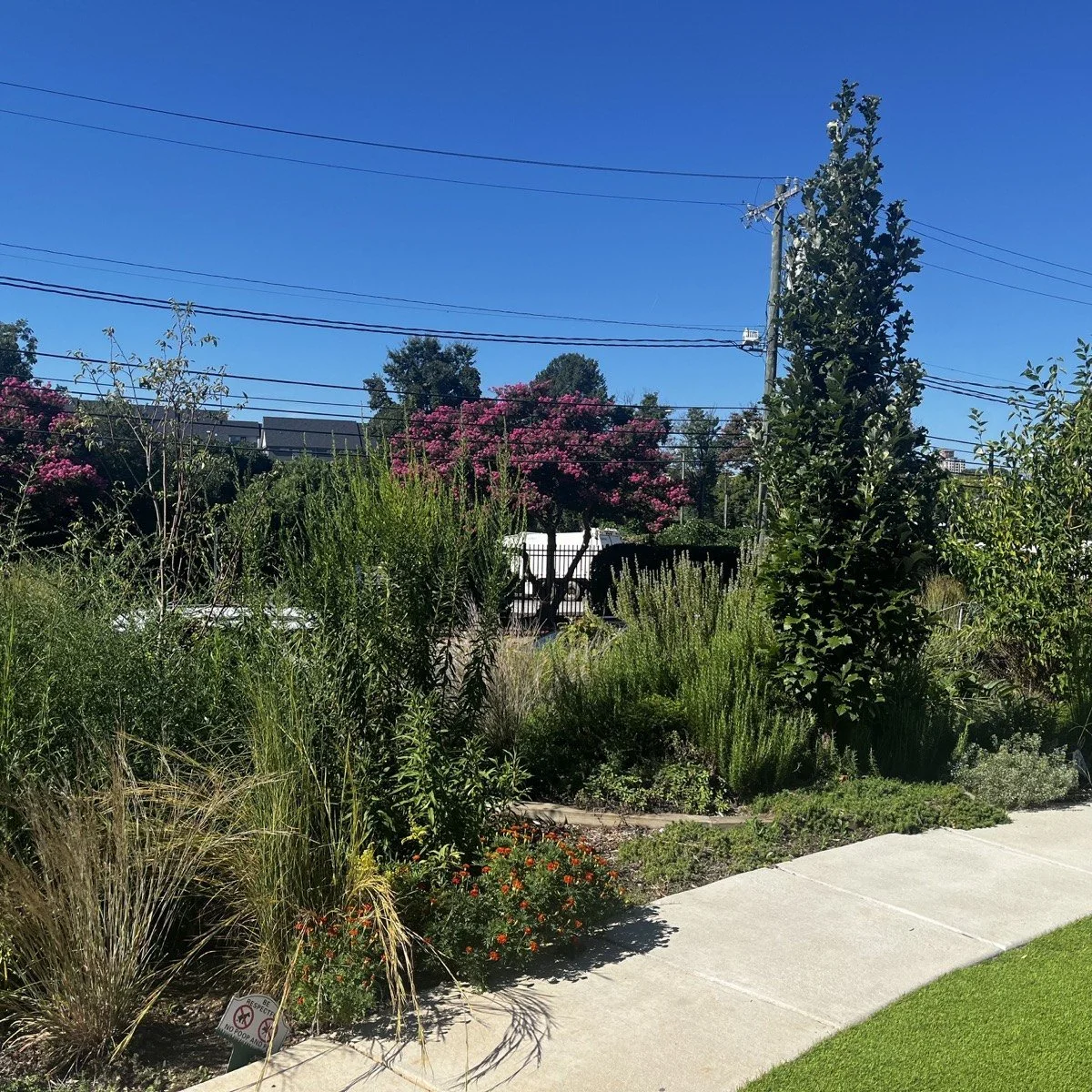 garden-08-02.jpg